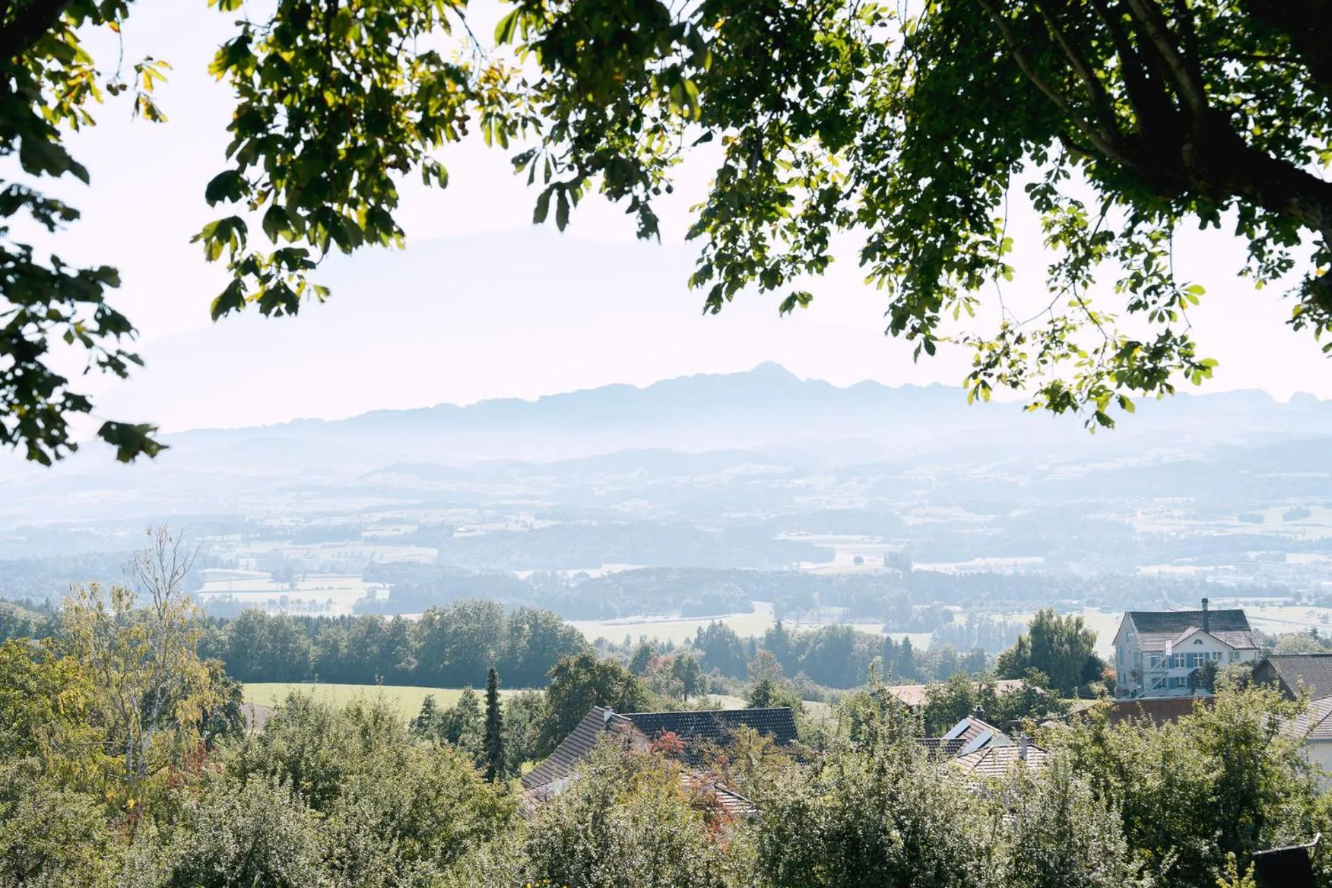 Natural landscape in Hotel & Restaurant Nollen