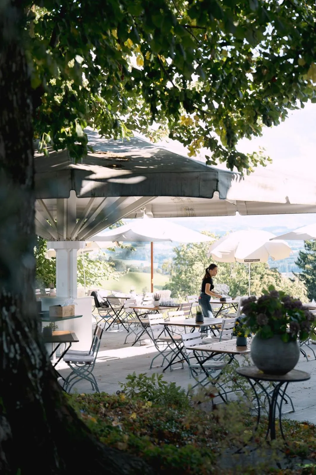 Restaurant/places to eat in Hotel & Restaurant Nollen