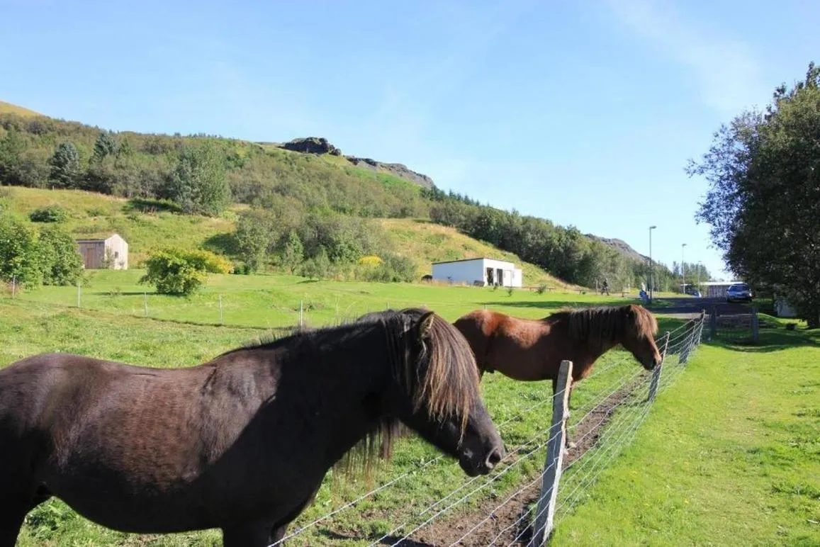 Property building in Hotel Skógá by EJ Hotels