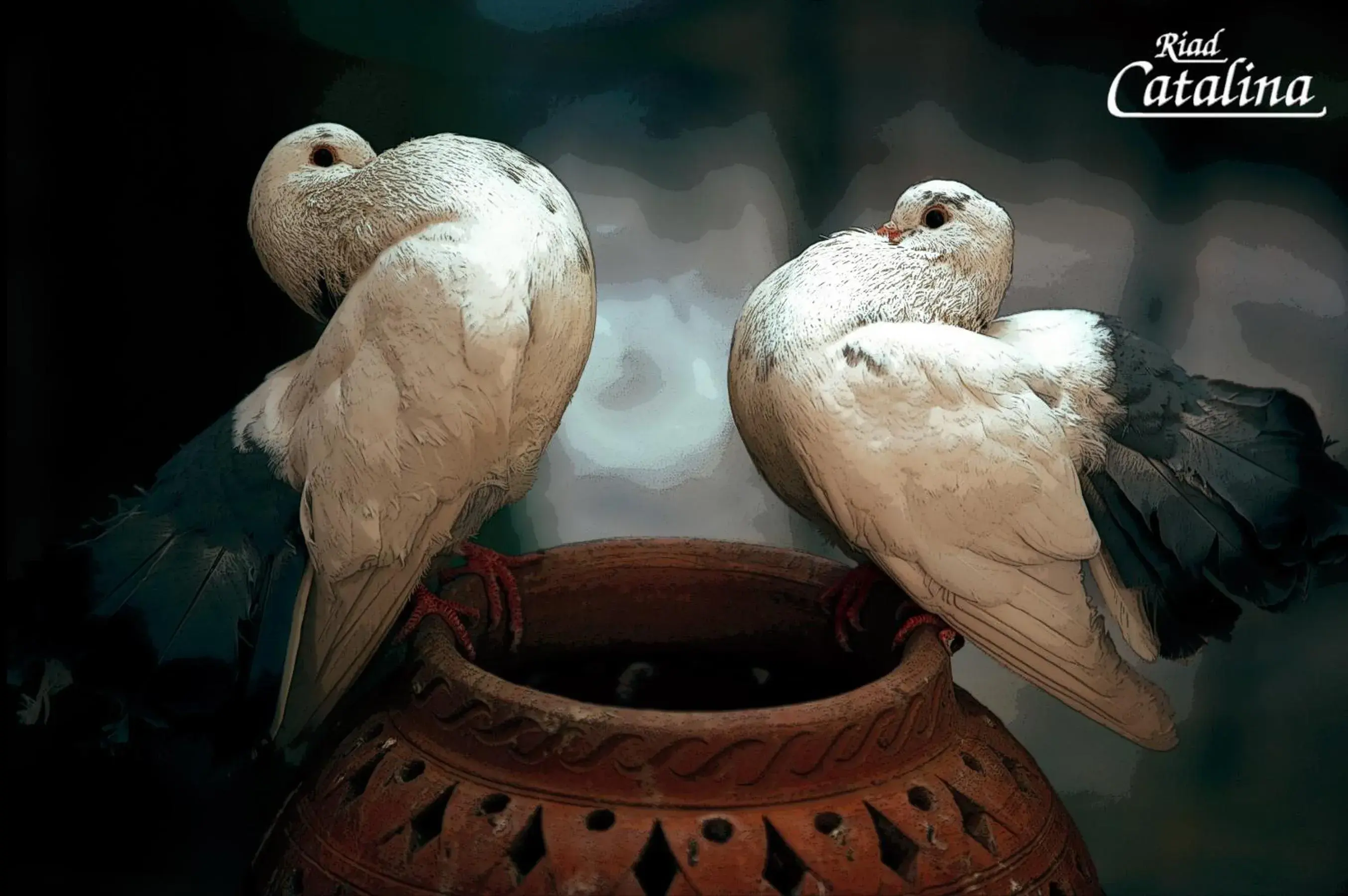 Decorative detail in Riad Catalina Decorative detail in Riad Catalina