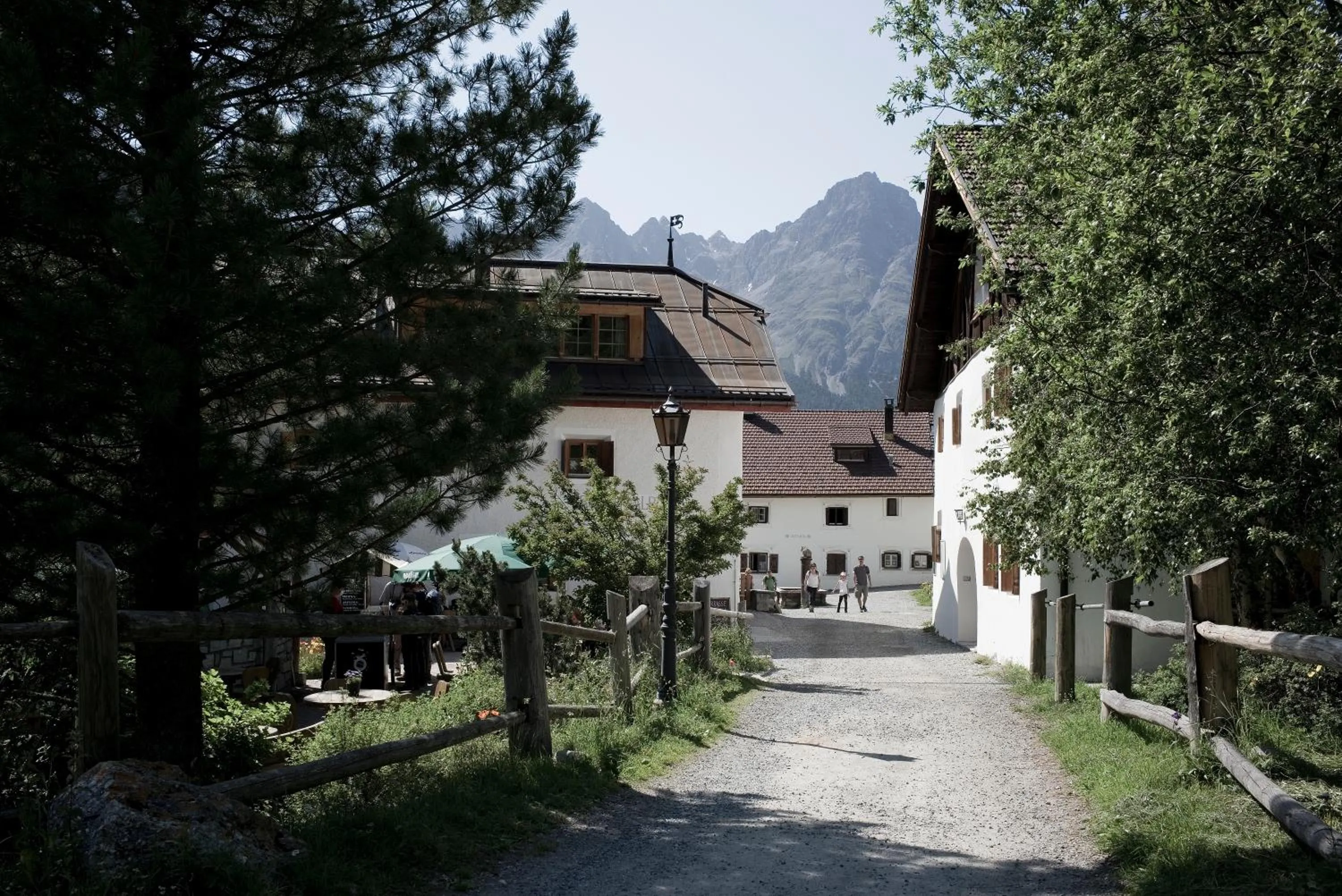 Natural landscape in Alpengasthof Crusch Alba ed Alvetern, S-charl