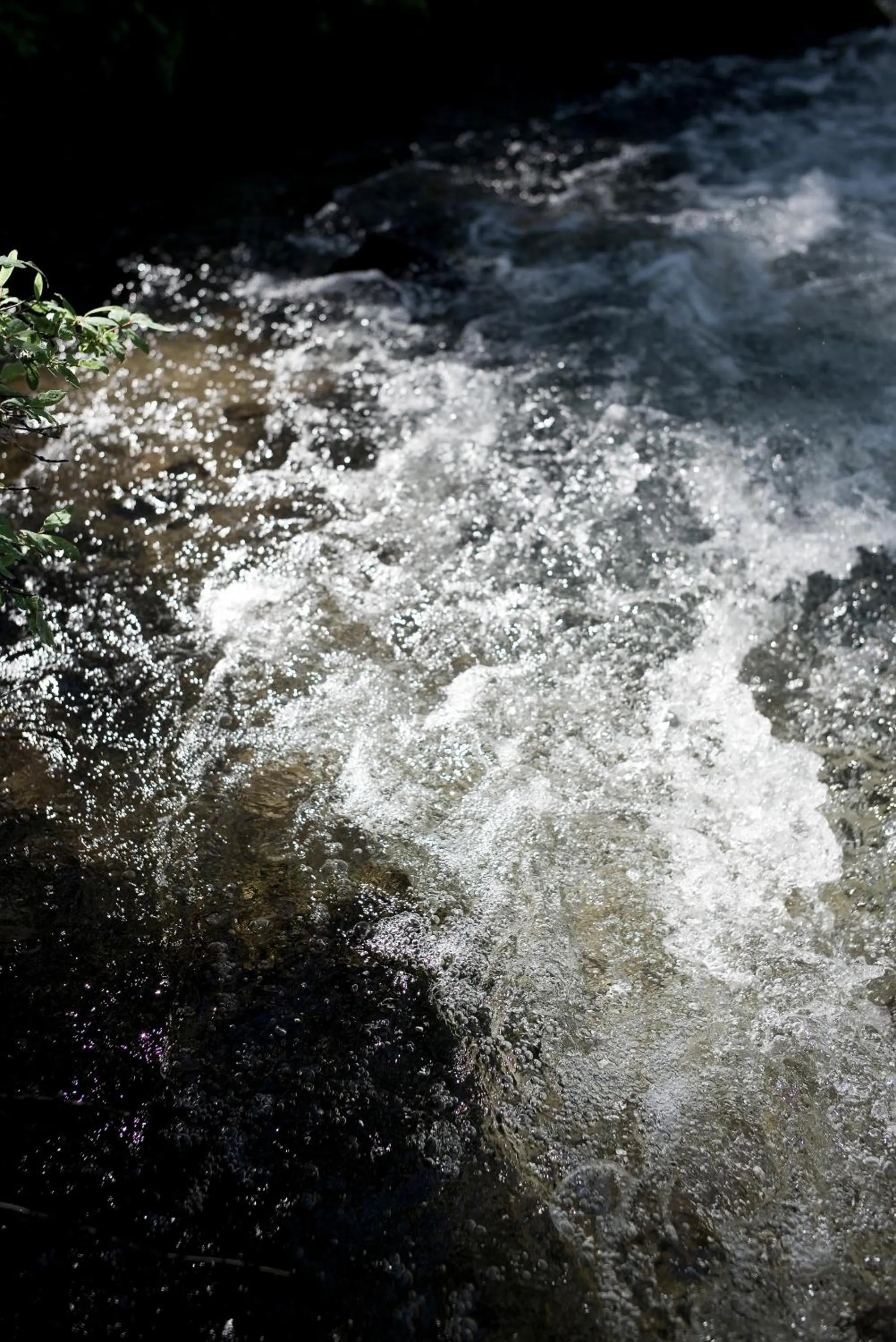 Natural landscape in Alpengasthof Crusch Alba ed Alvetern, S-charl