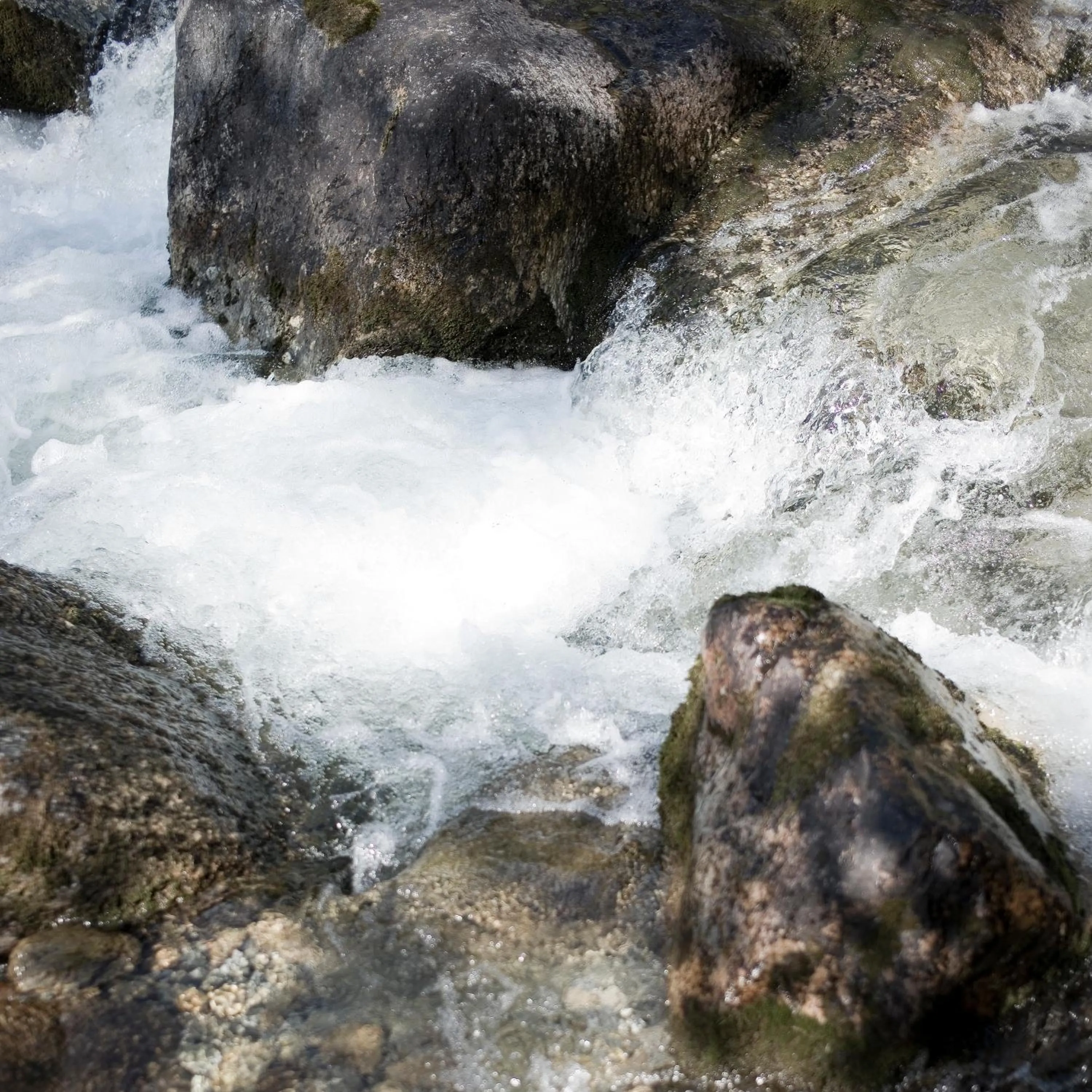 Natural landscape in Alpengasthof Crusch Alba ed Alvetern, S-charl