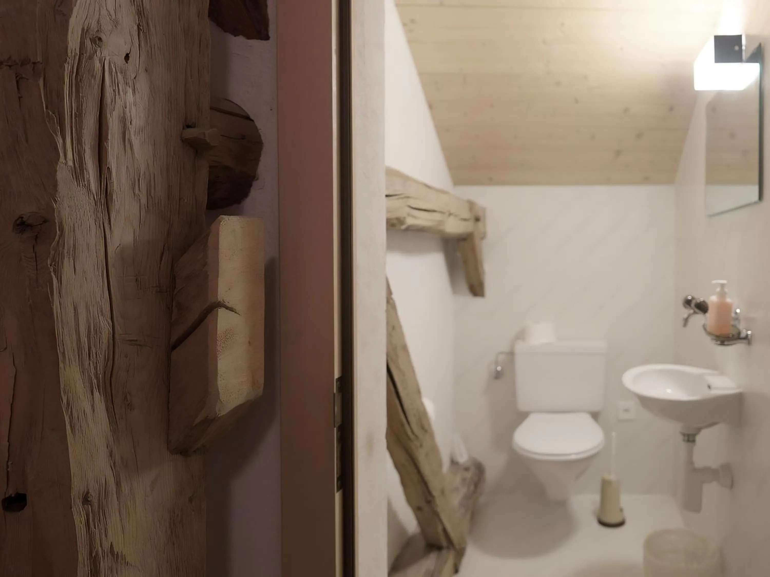 Toilet in Alpengasthof Crusch Alba ed Alvetern, S-charl