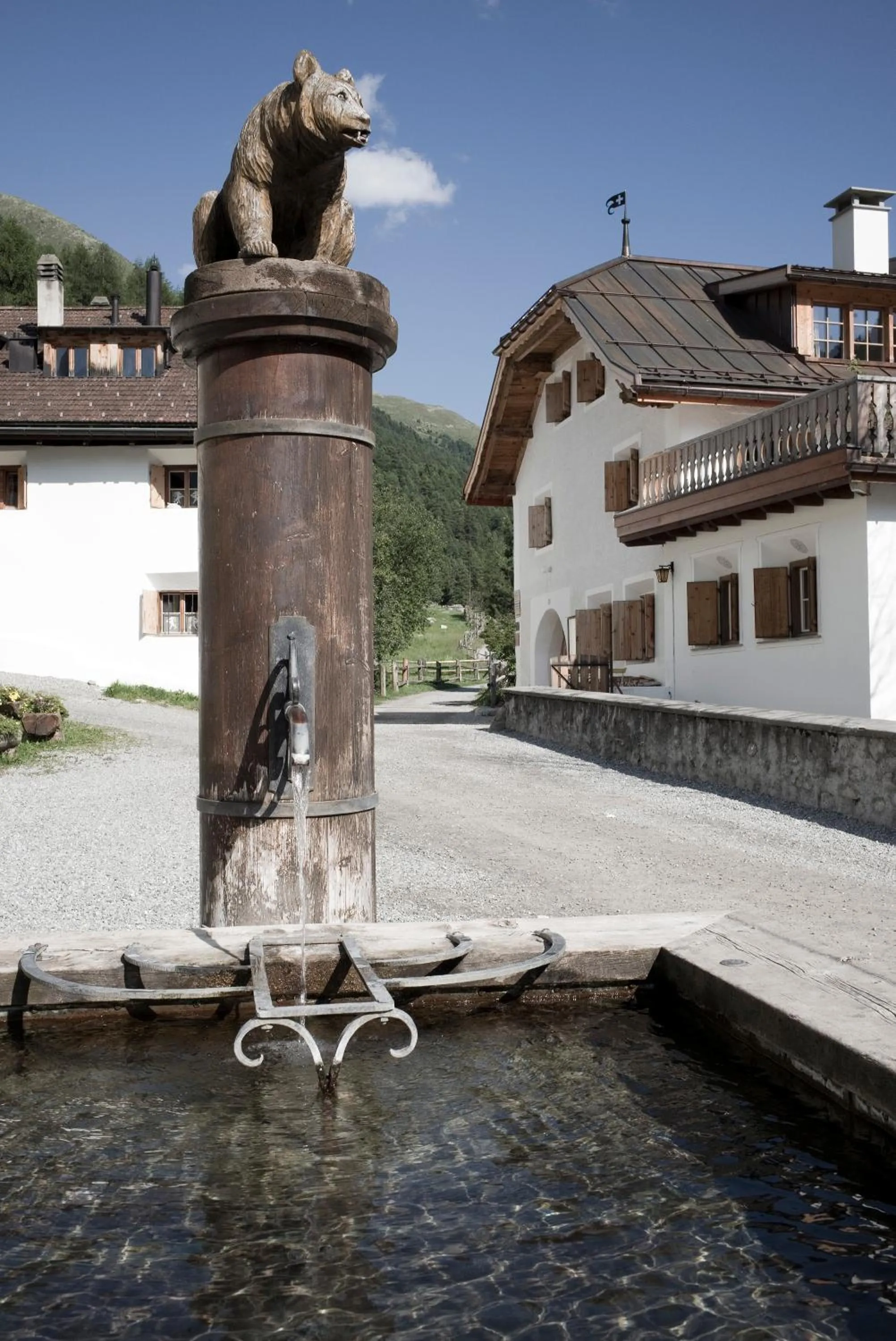 Natural landscape in Alpengasthof Crusch Alba ed Alvetern, S-charl