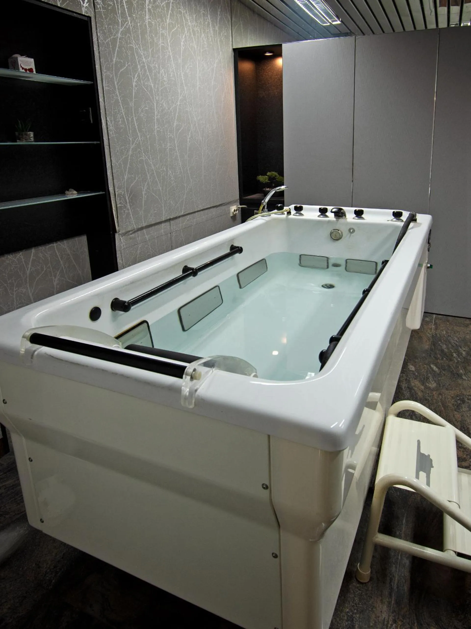 Hot Tub in Hotel Slavija Lux