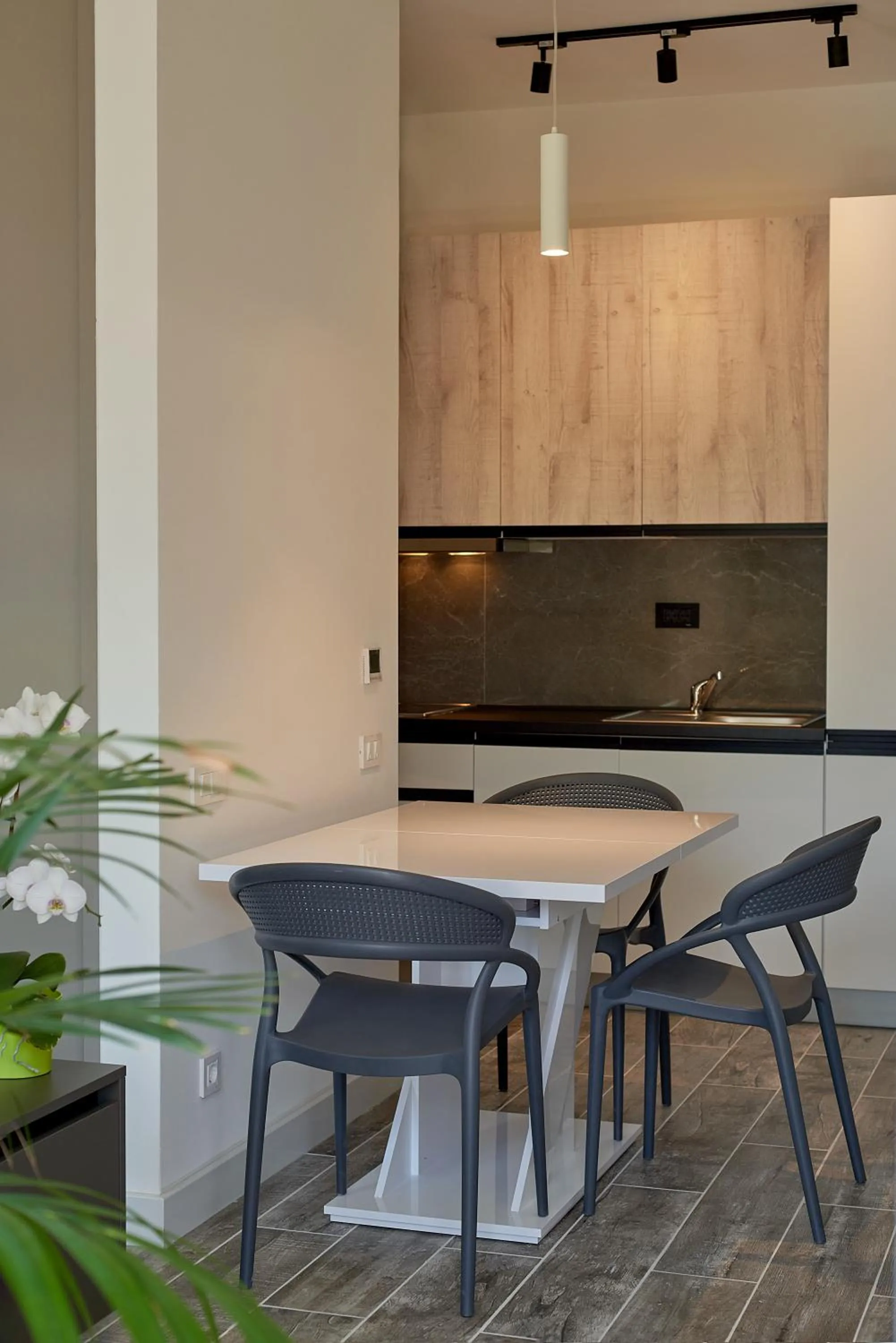 Kitchen or kitchenette in Skyline resort