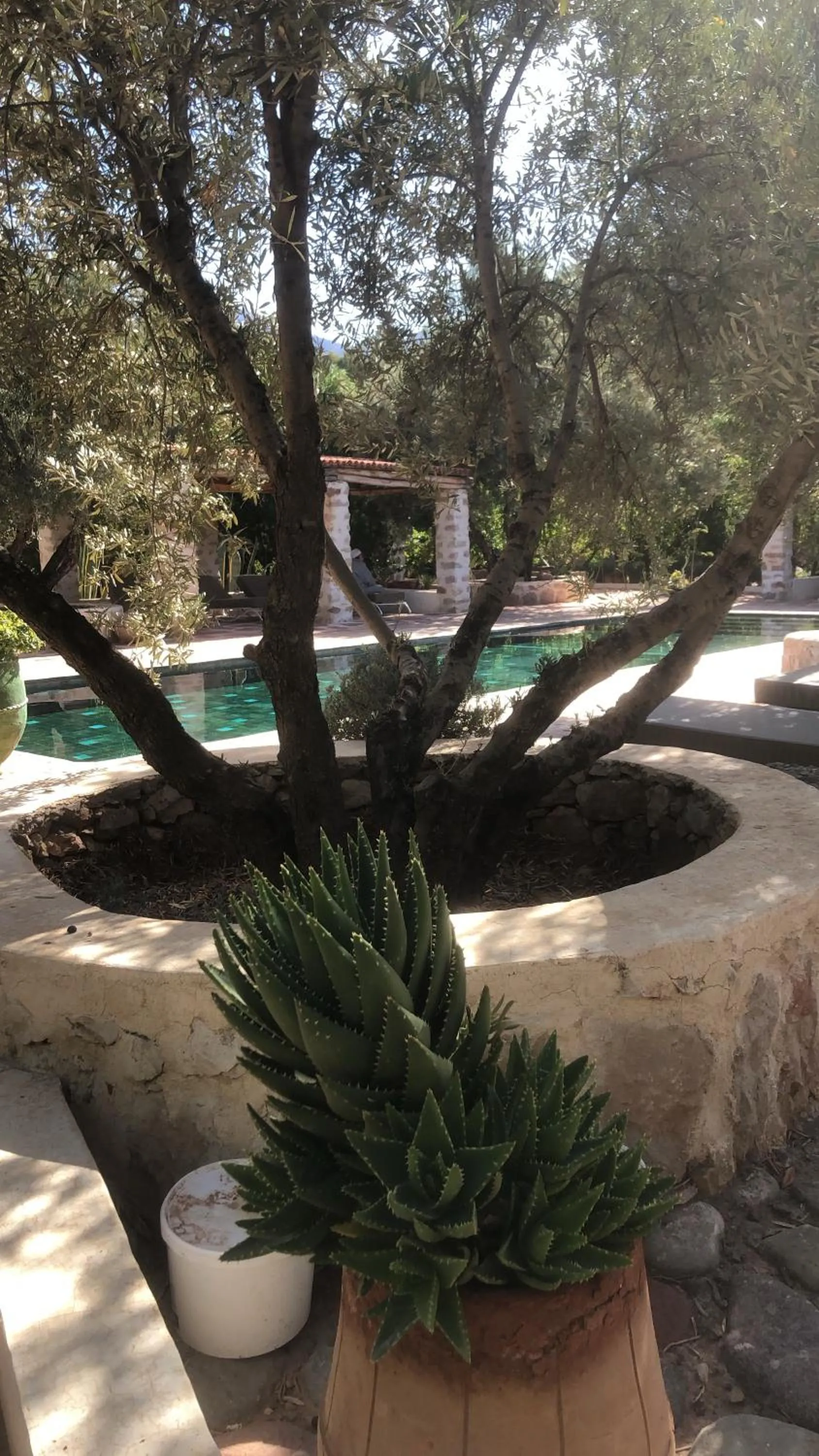 Sel d Ailleurs, Ouirgan - adults only