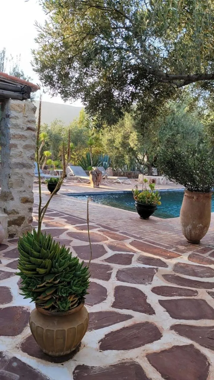 Sel d Ailleurs, Ouirgan - adults only