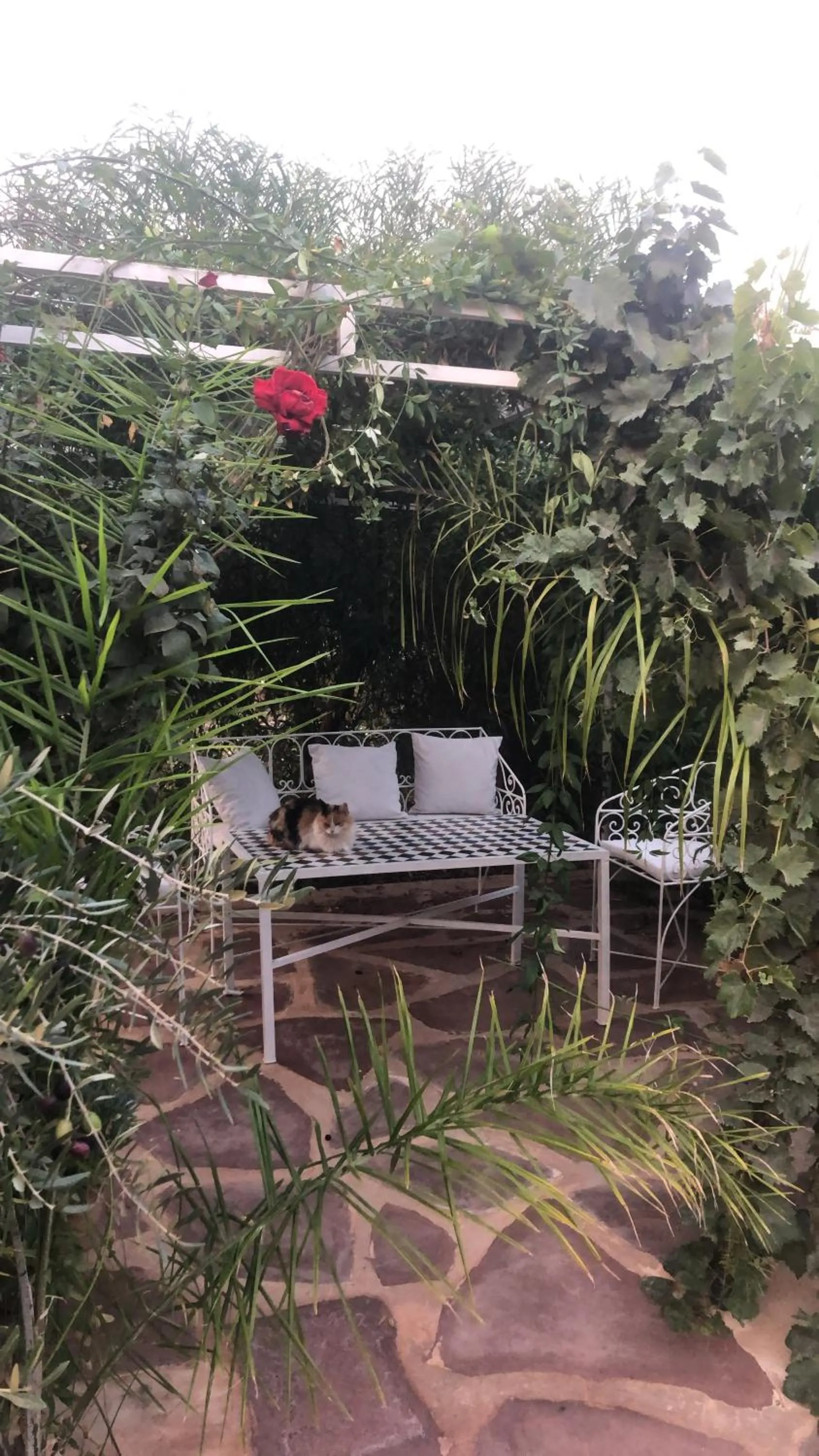 Sel d Ailleurs, Ouirgan - adults only