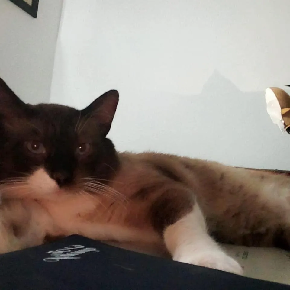 Sel d Ailleurs, Ouirgan - adults only