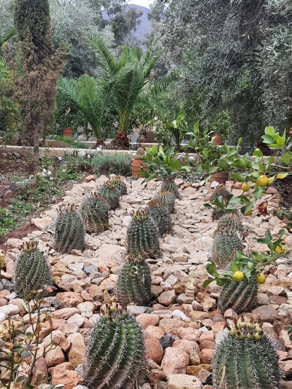 Sel d Ailleurs, Ouirgan - adults only