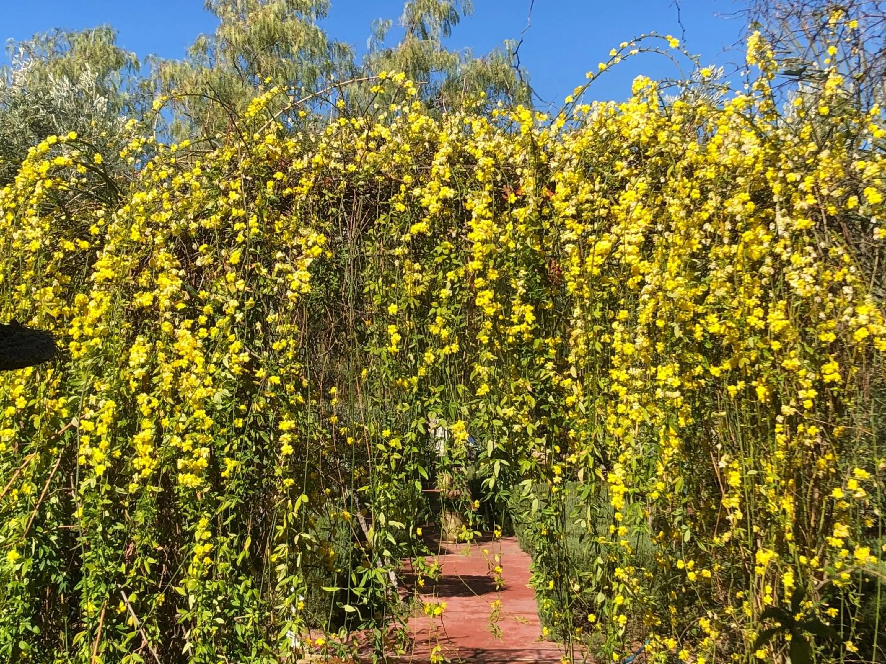 Sel d Ailleurs, Ouirgan - adults only