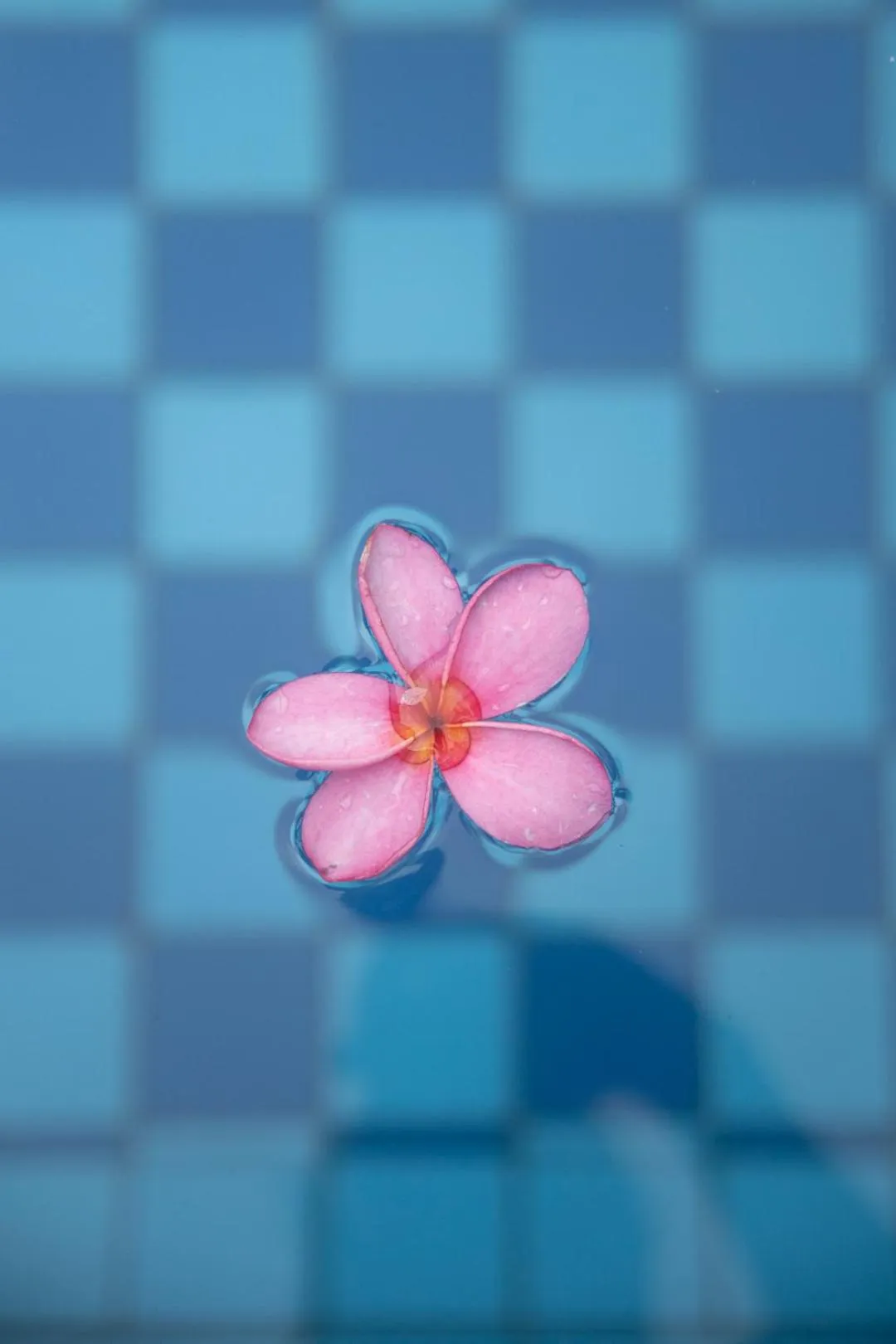 Swimming pool in Hakuna Matata Resort Gili Air