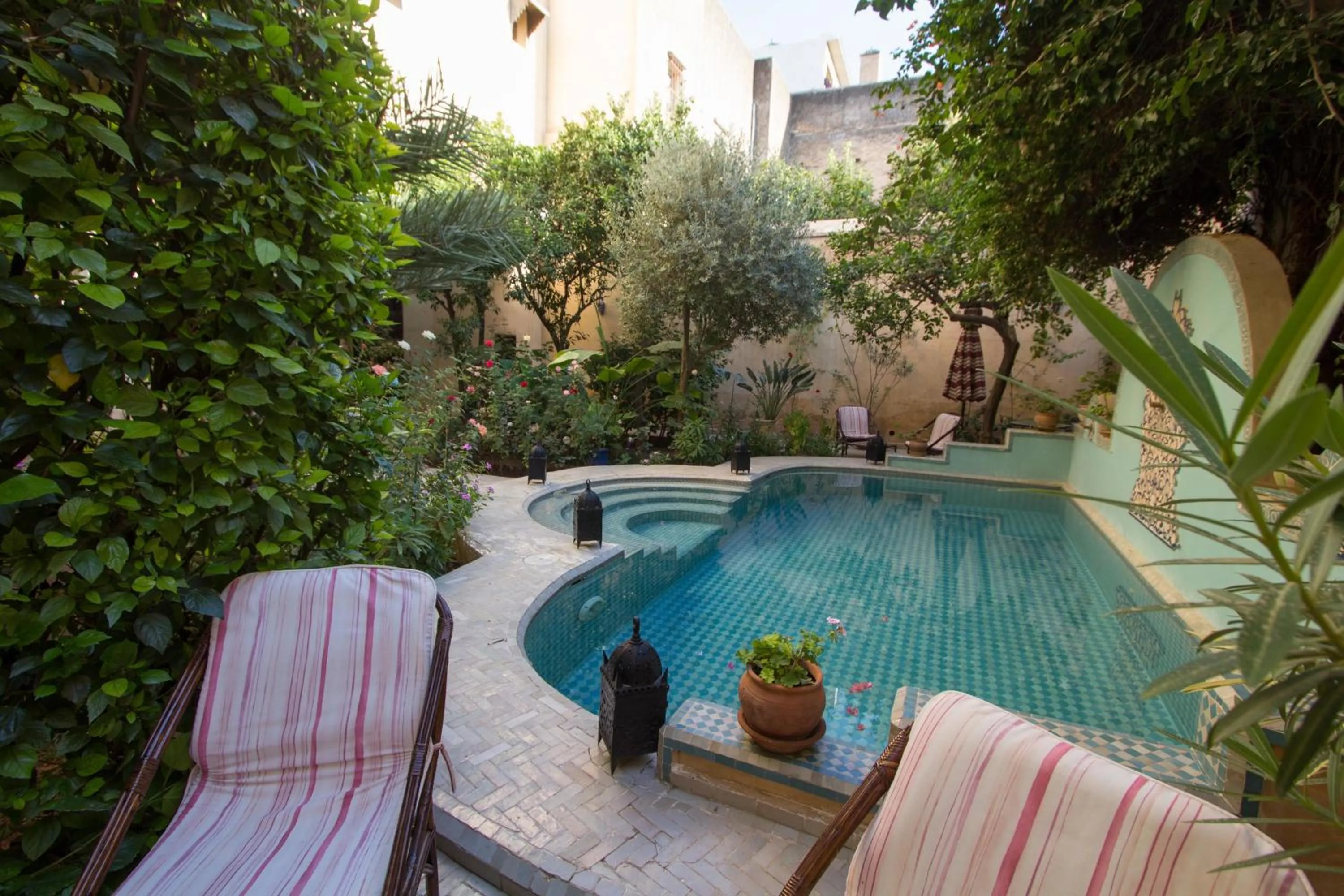Swimming pool in Riad Norma