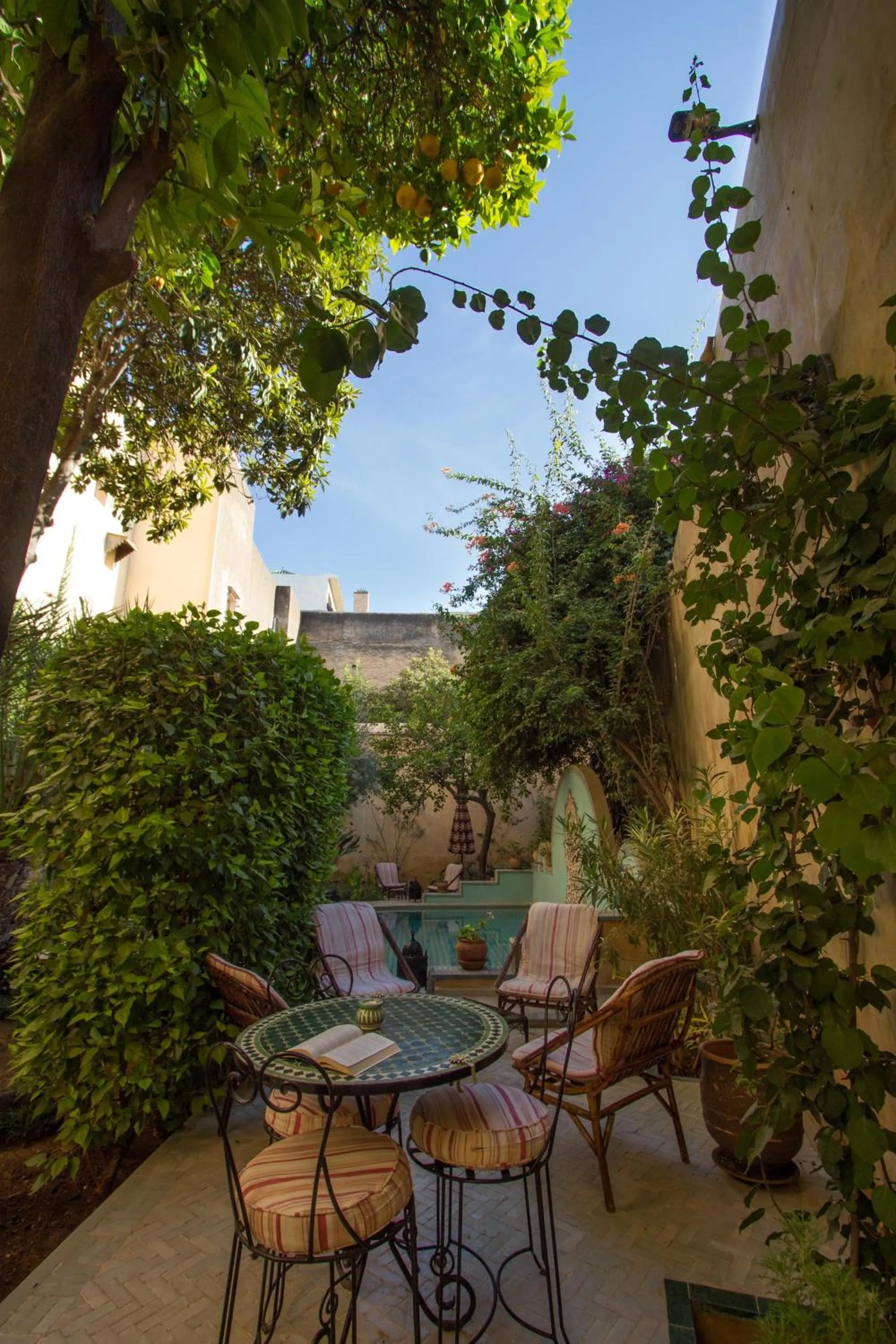 Garden in Riad Norma