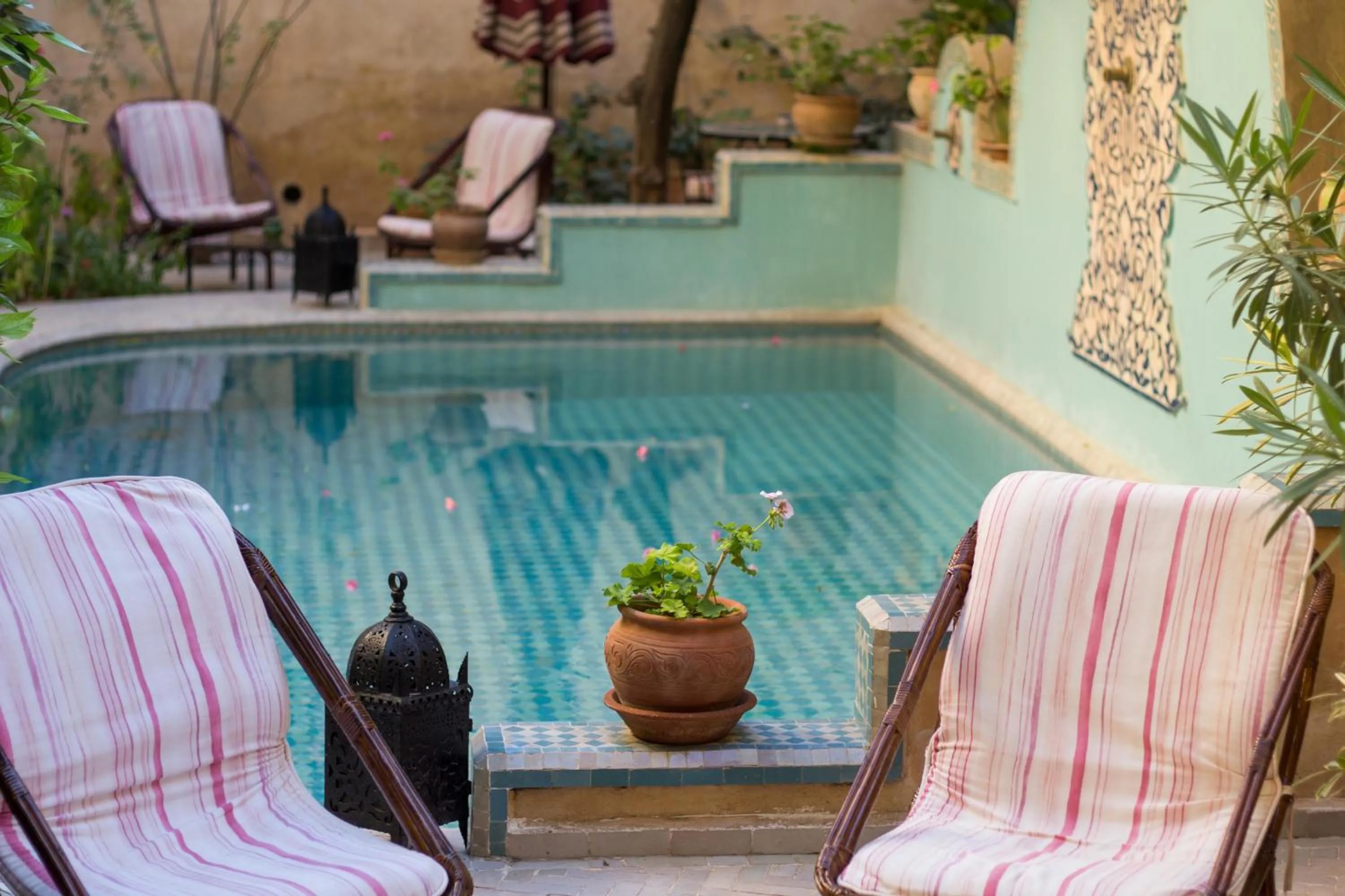 Swimming pool in Riad Norma
