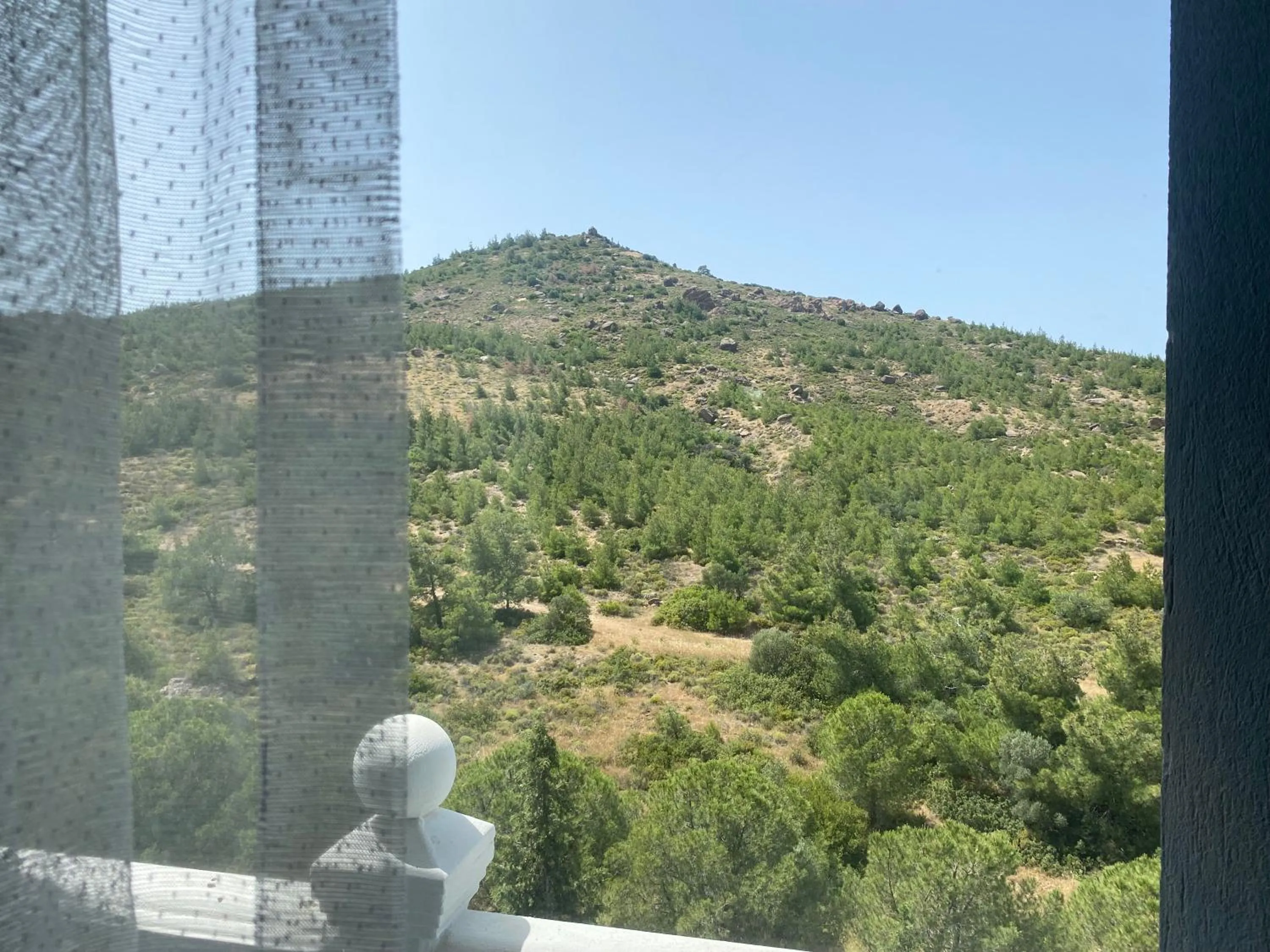 View (from property/room) in Tabiat Park Hotel Ayvalik