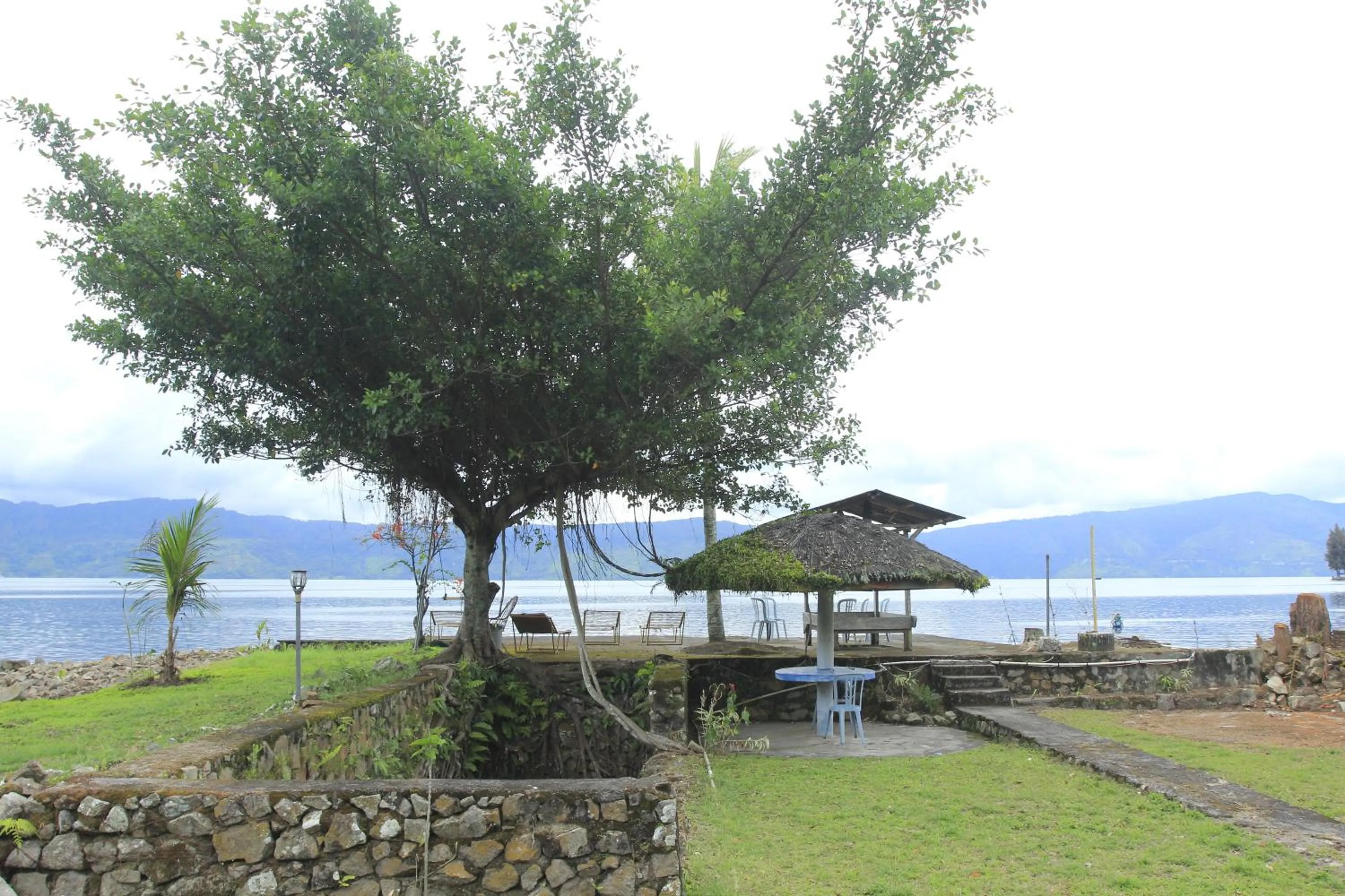 Natural landscape in SONY COTTAGE