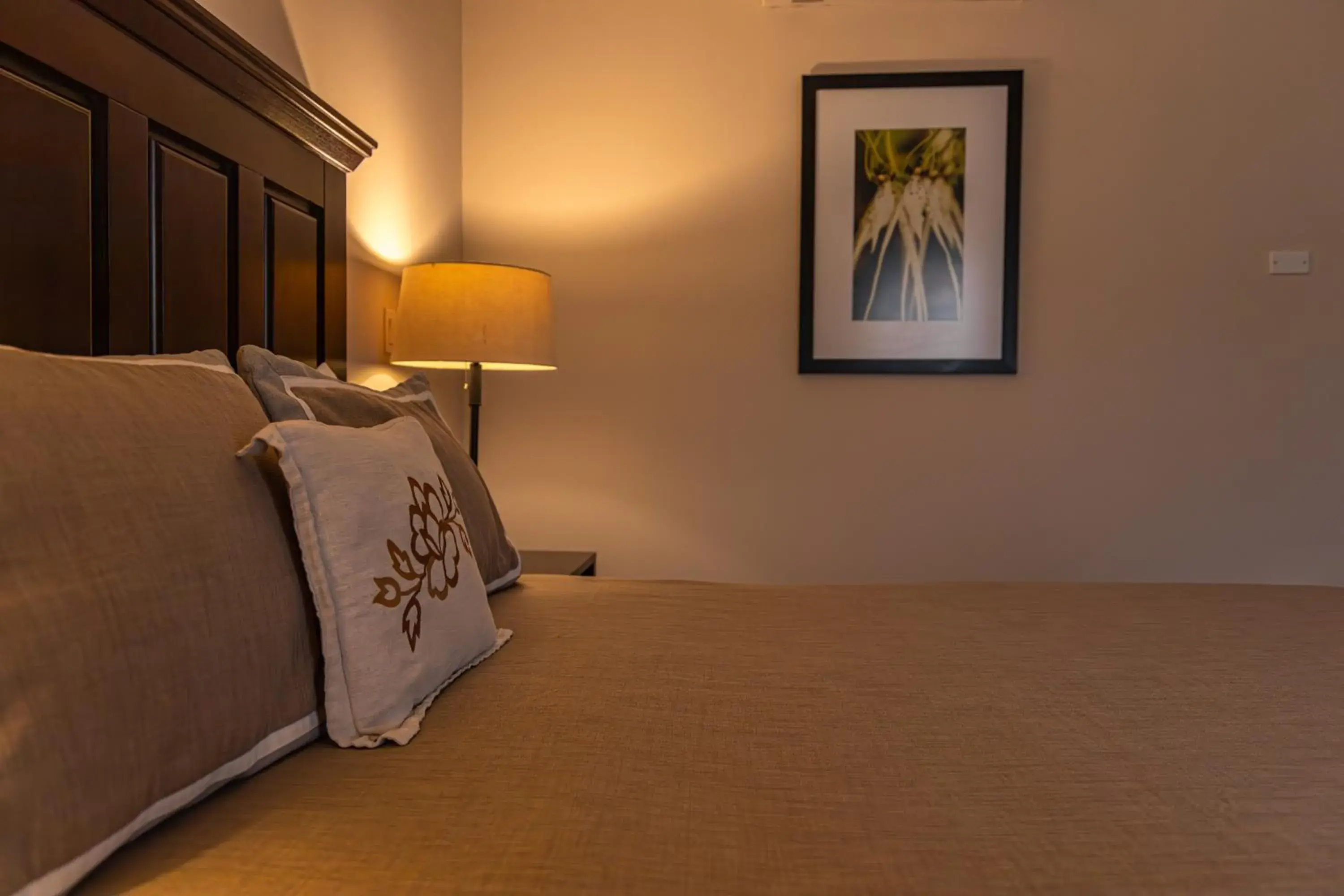 Double or Twin Room in Hotel Cubitá Boutique Resort & Spa Double or Twin Room in Hotel Cubitá Boutique Resort & Spa