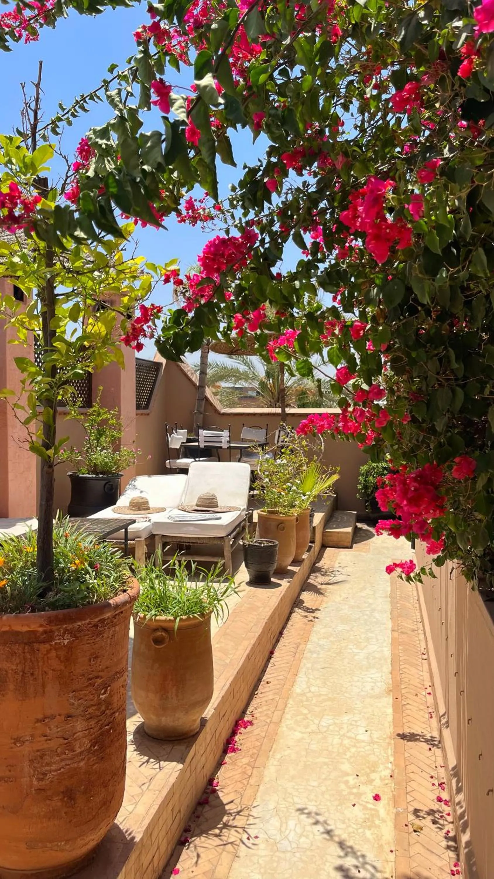 Balcony/Terrace in Riad Dar Zaman