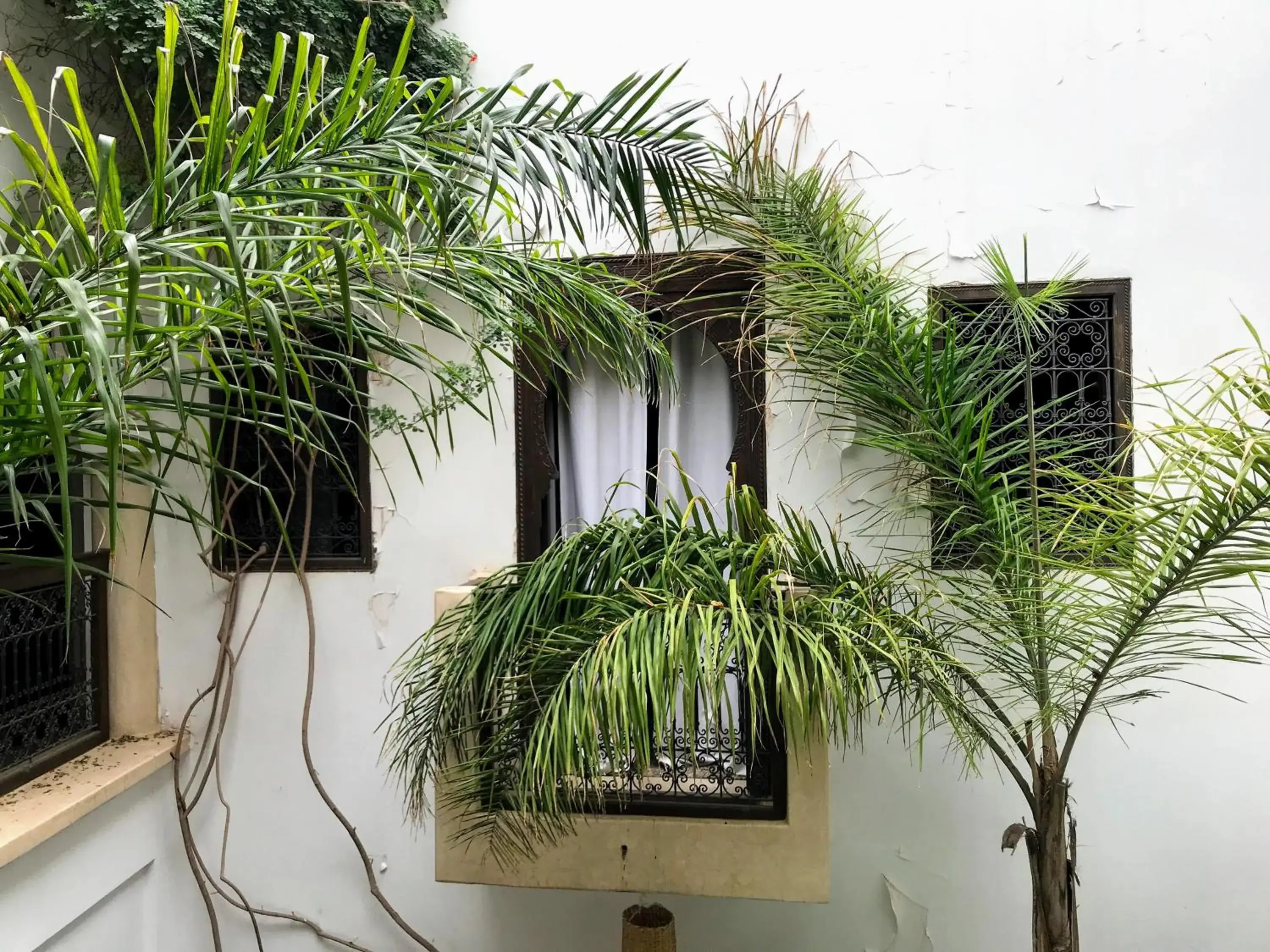 Property building in Riad Dar Zaman Property building in Riad Dar Zaman