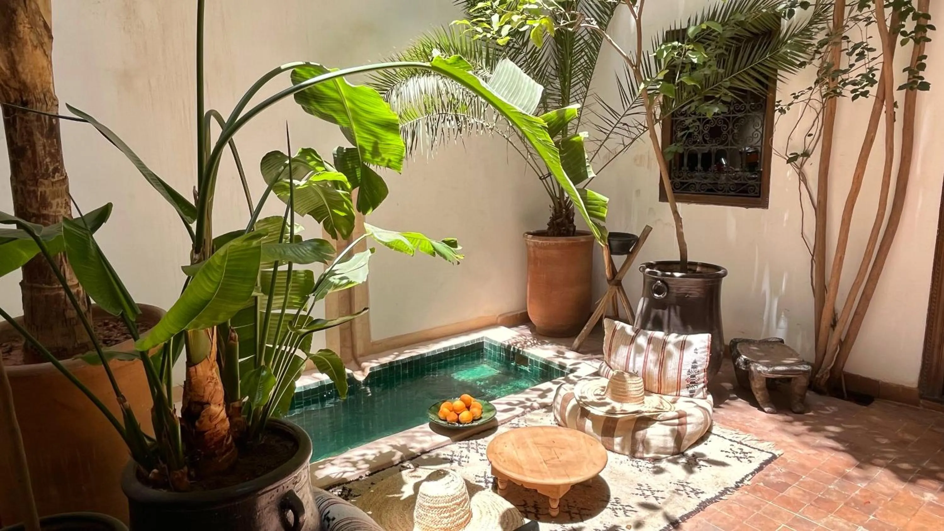 Garden in Riad Dar Zaman