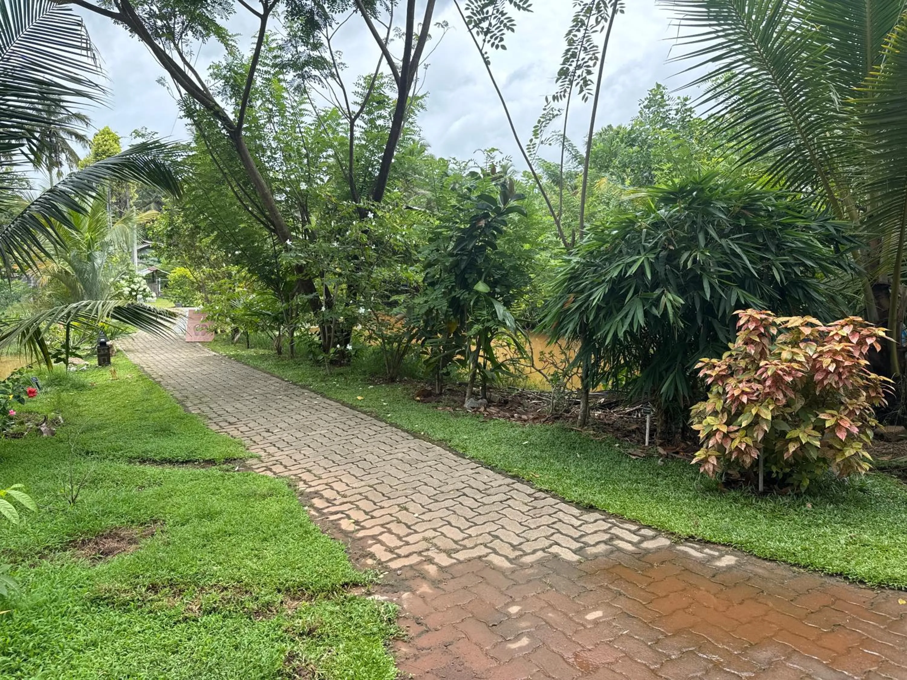 Natural landscape in Steps Garden Resort