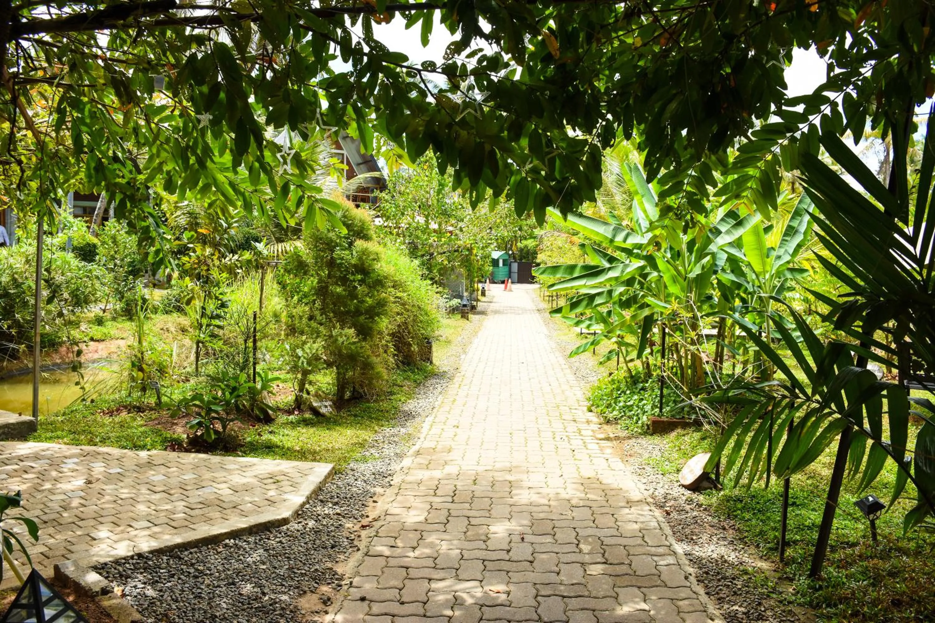 Natural landscape in Steps Garden Resort