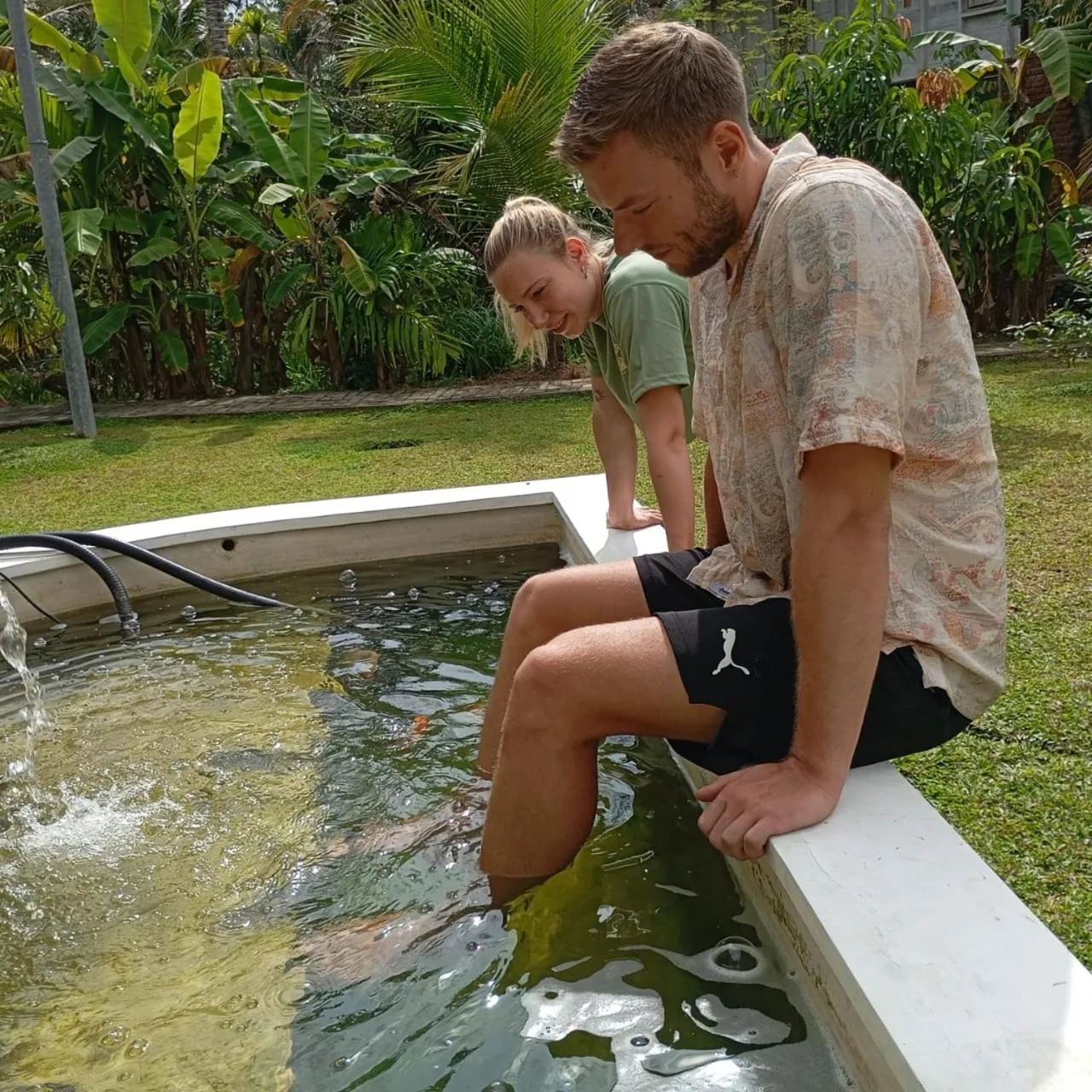 Natural landscape in Steps Garden Resort