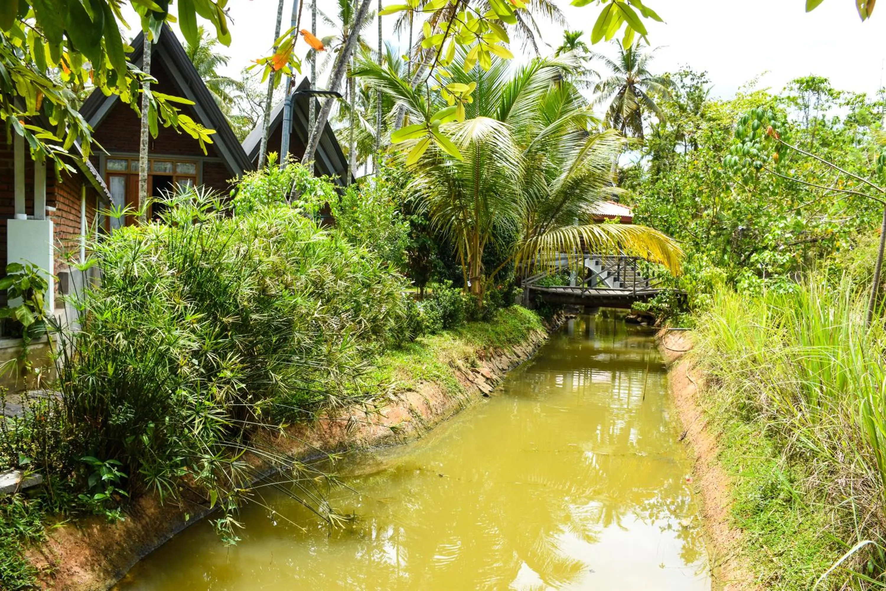 Natural landscape in Steps Garden Resort