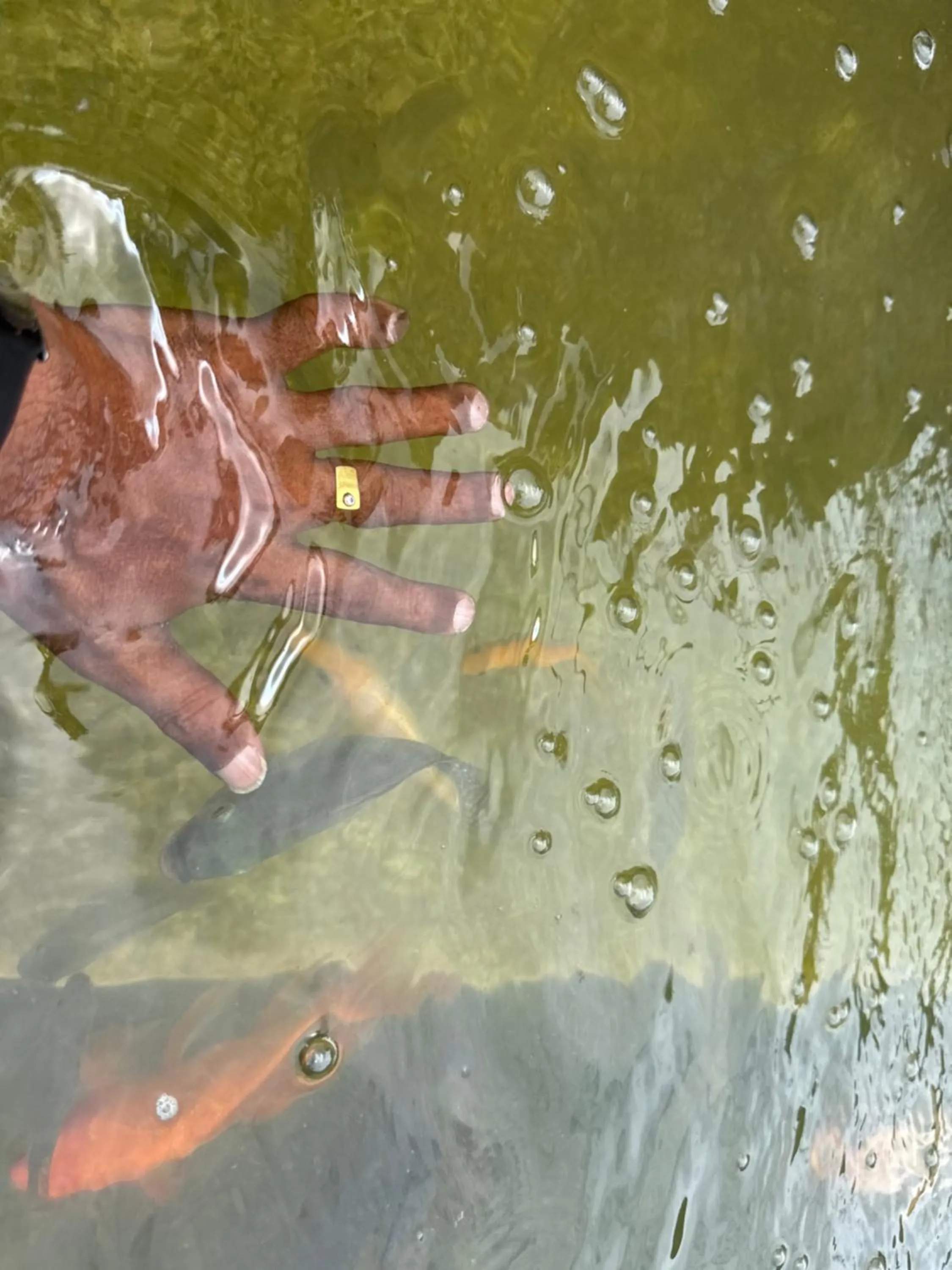 Activities in Steps Garden Resort