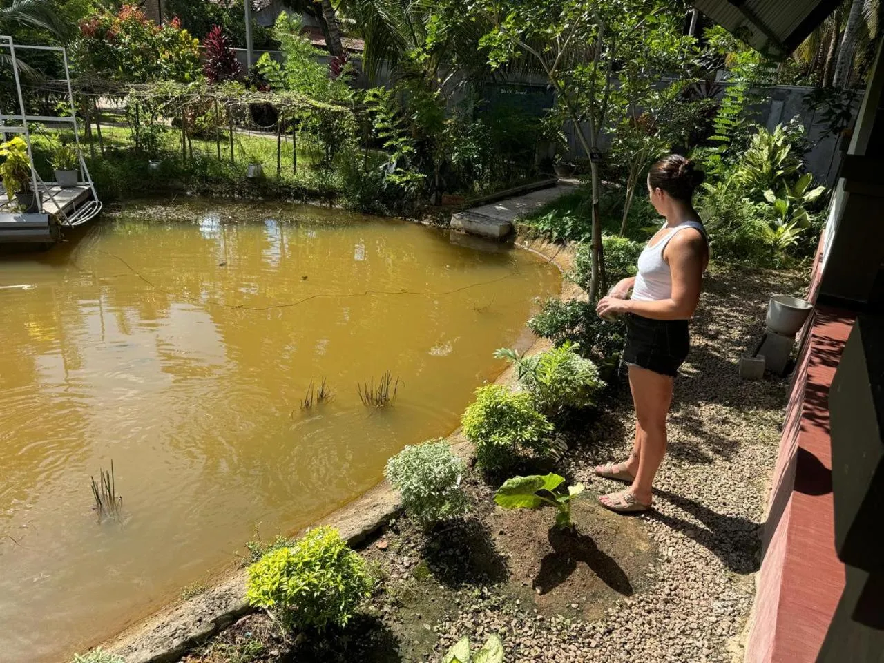 Lake view in Steps Garden Resort