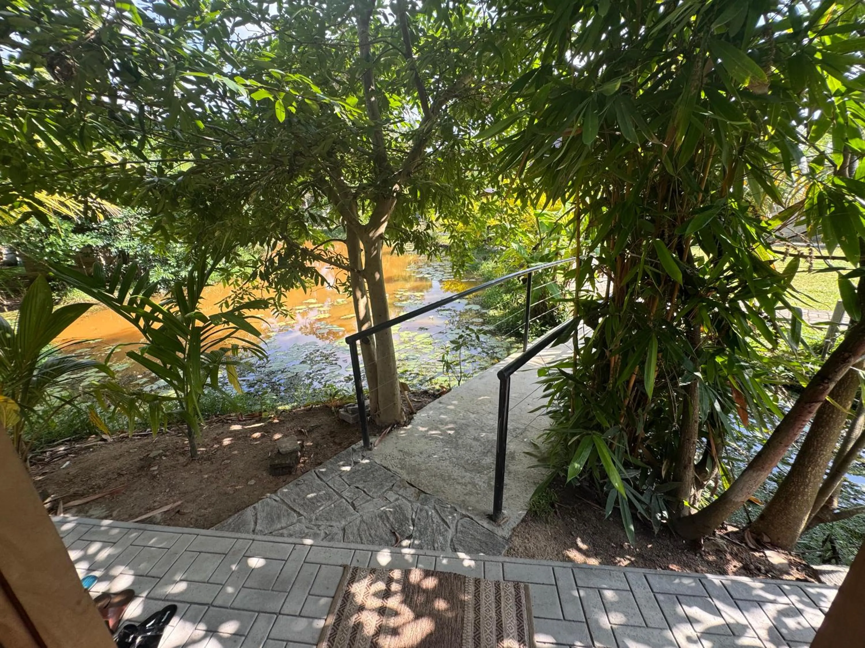 Garden view in Steps Garden Resort