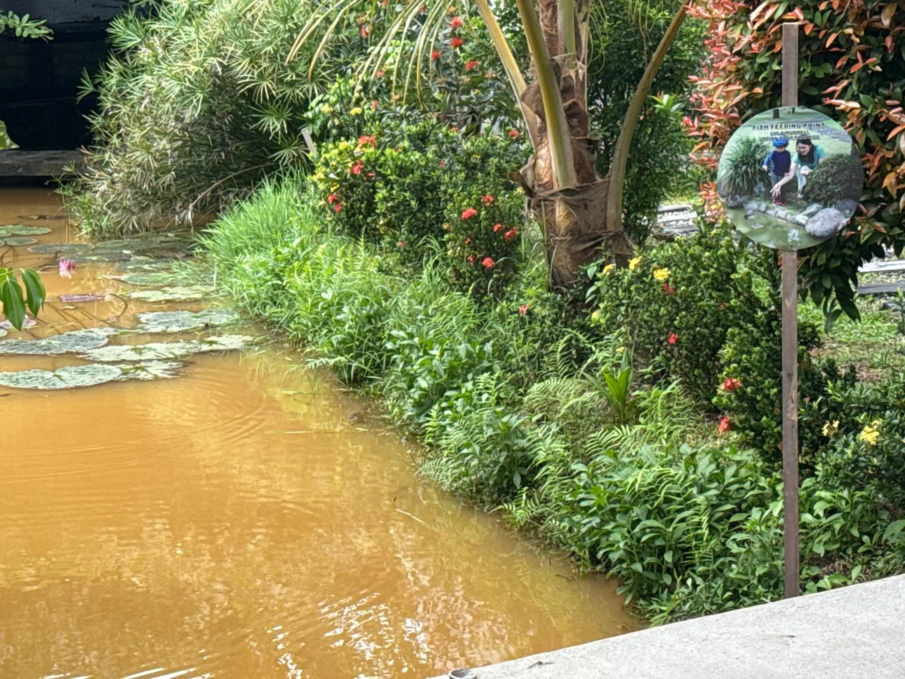 Natural landscape in Steps Garden Resort