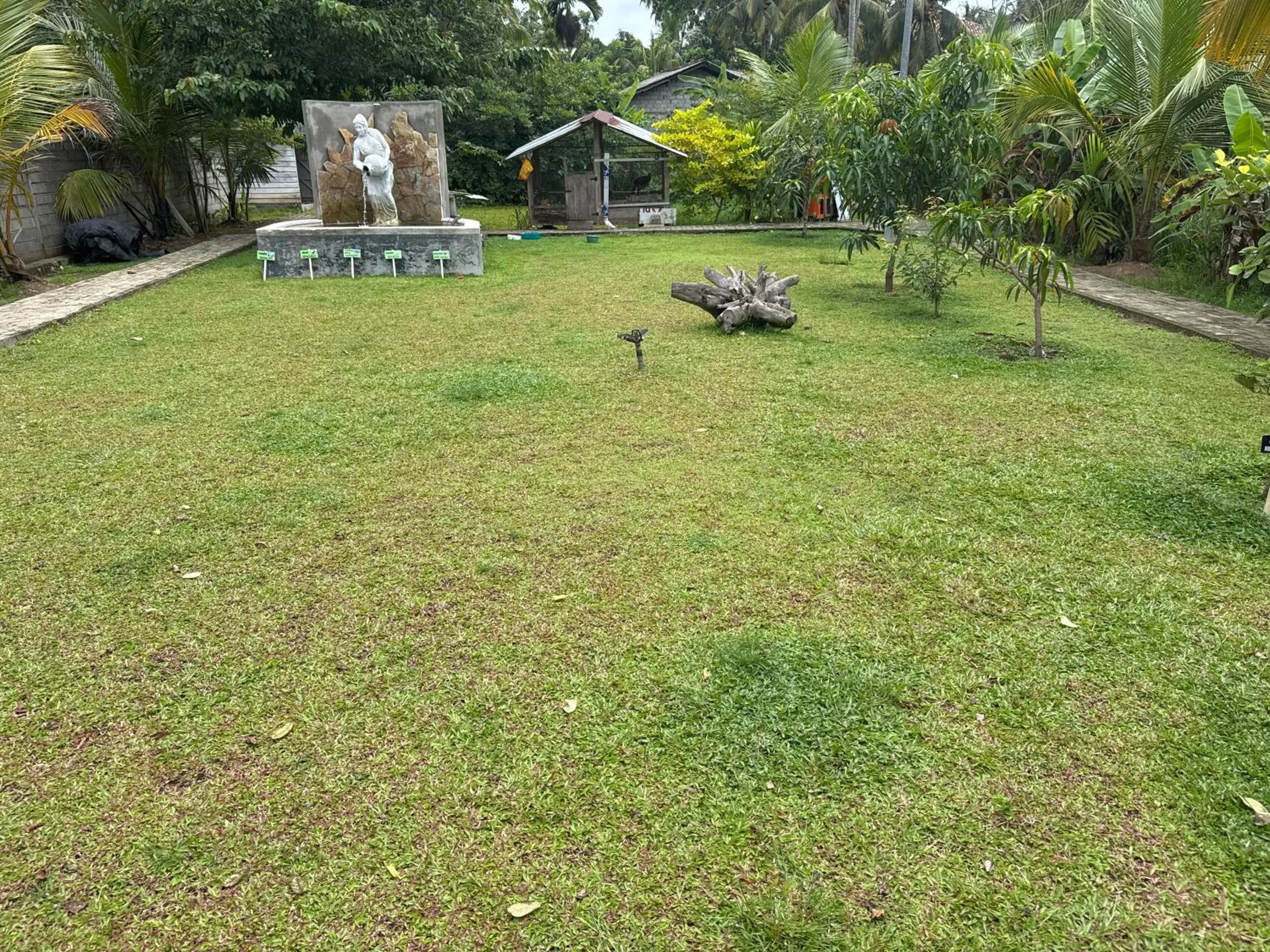 Garden view in Steps Garden Resort