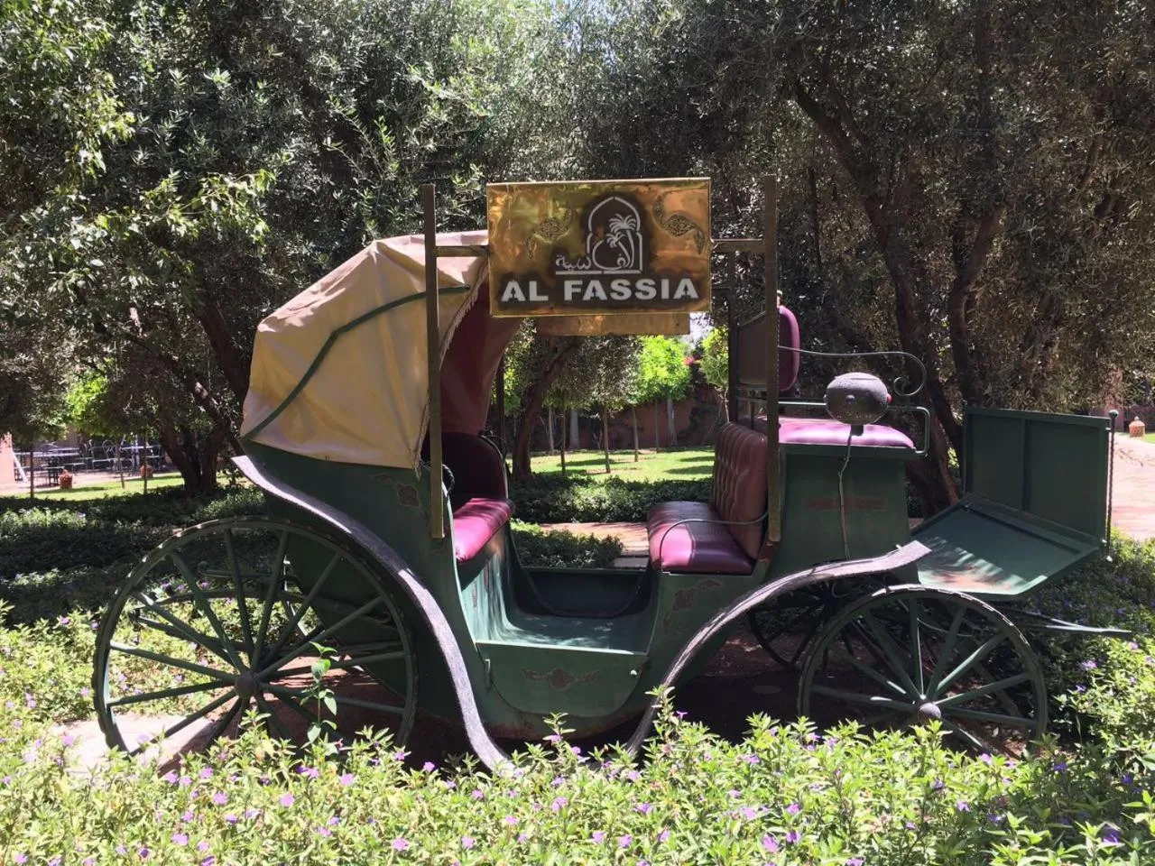 Spring in Al Fassia Aguedal