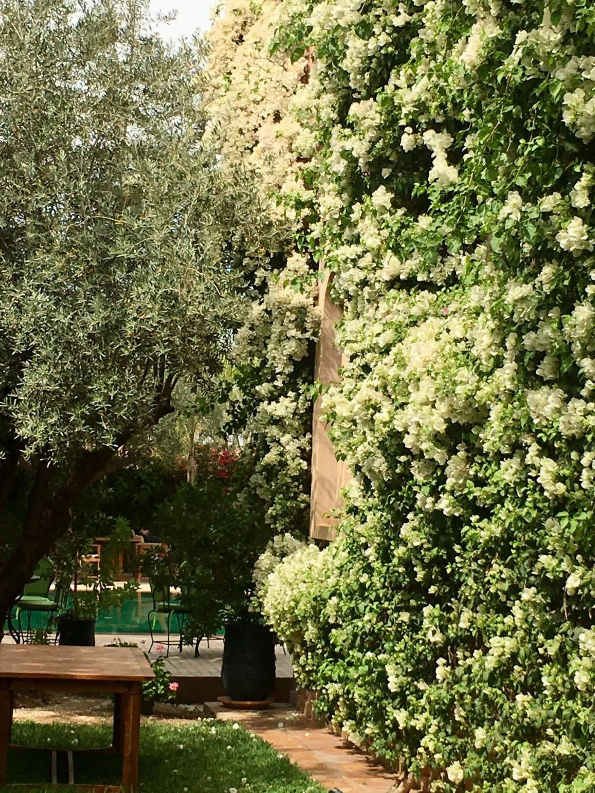 Spring in Al Fassia Aguedal