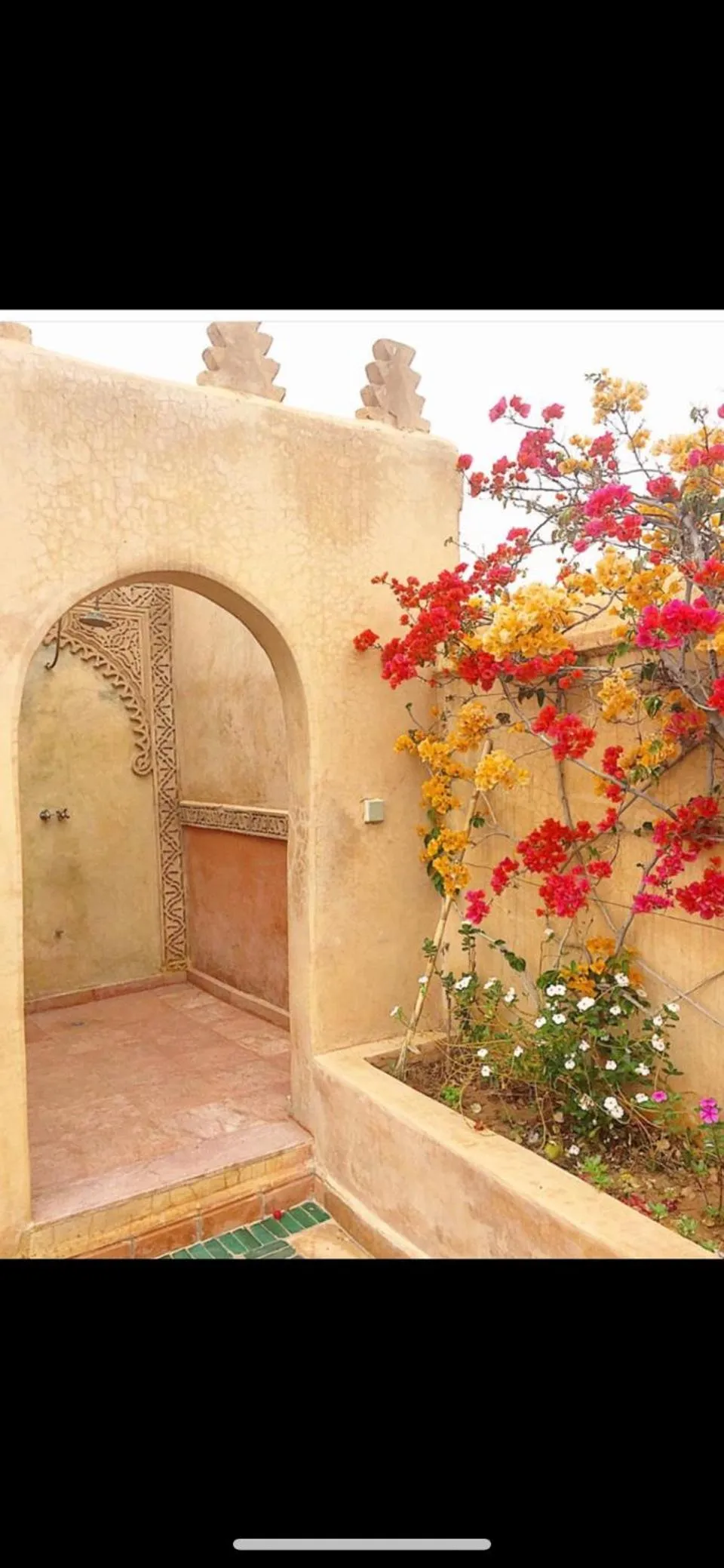 Garden view in Riad & Spa Esprit Du Maroc