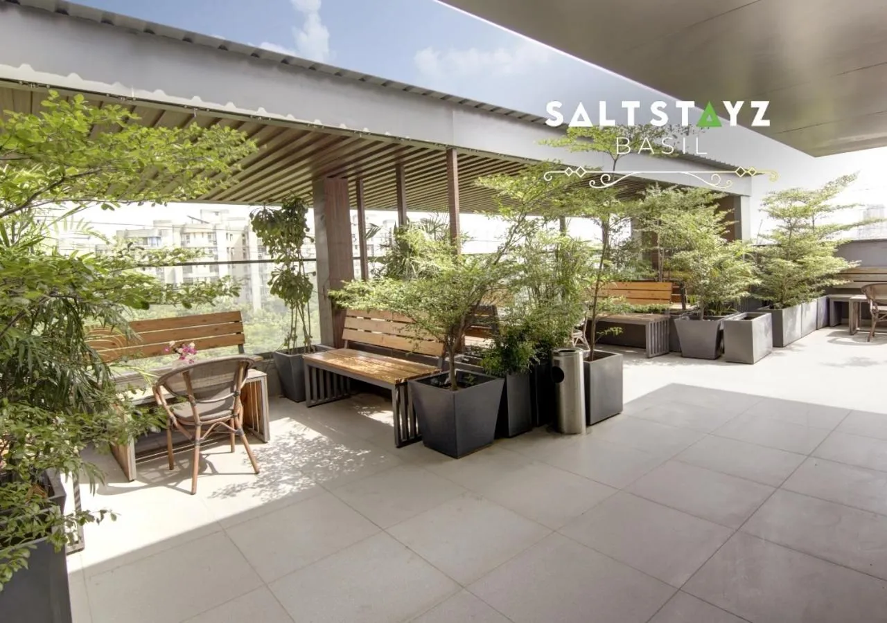 Day in Saltstayz Basil - Near Golf Course Road & Extension Road