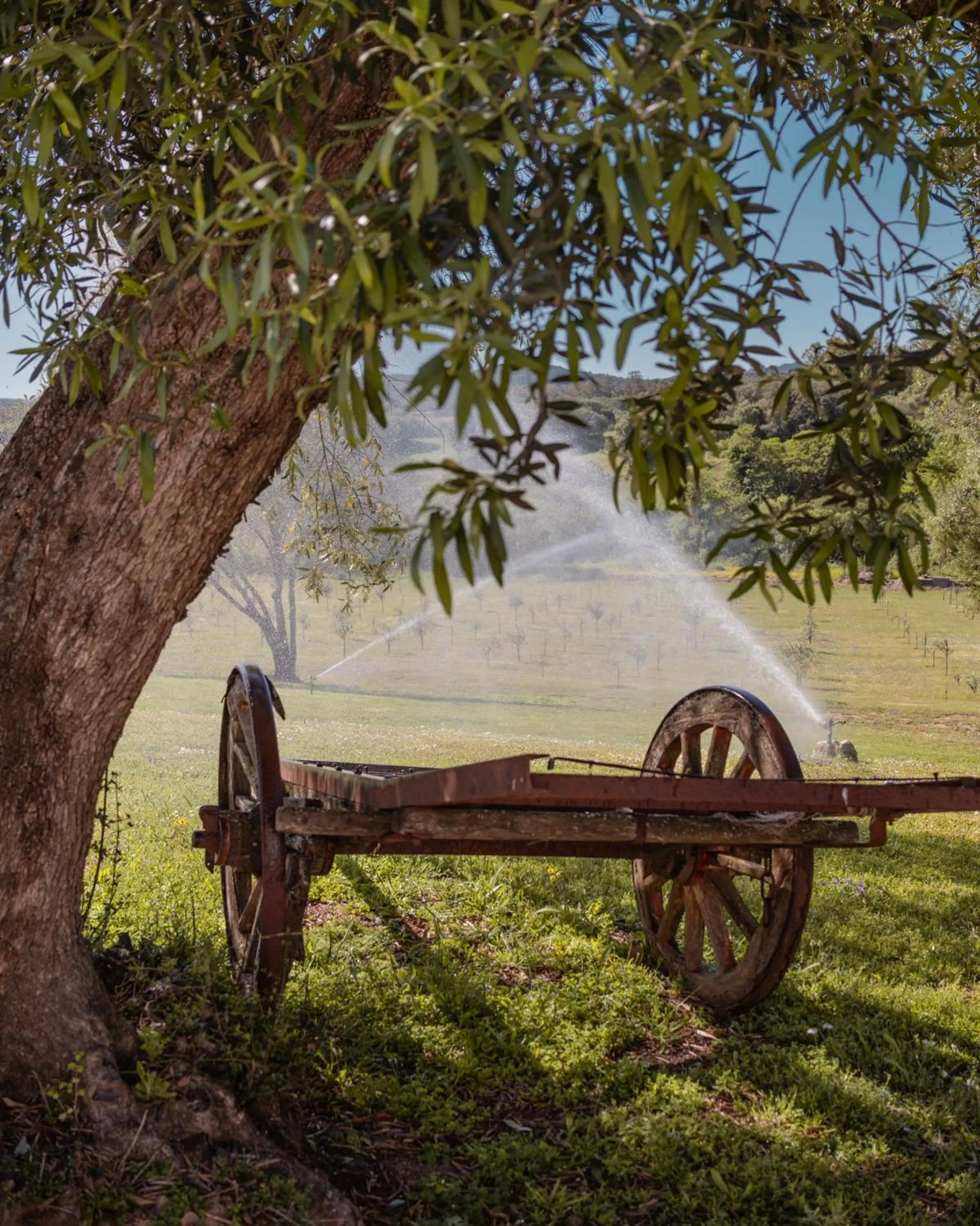 Natural landscape in Uddastri Retreat