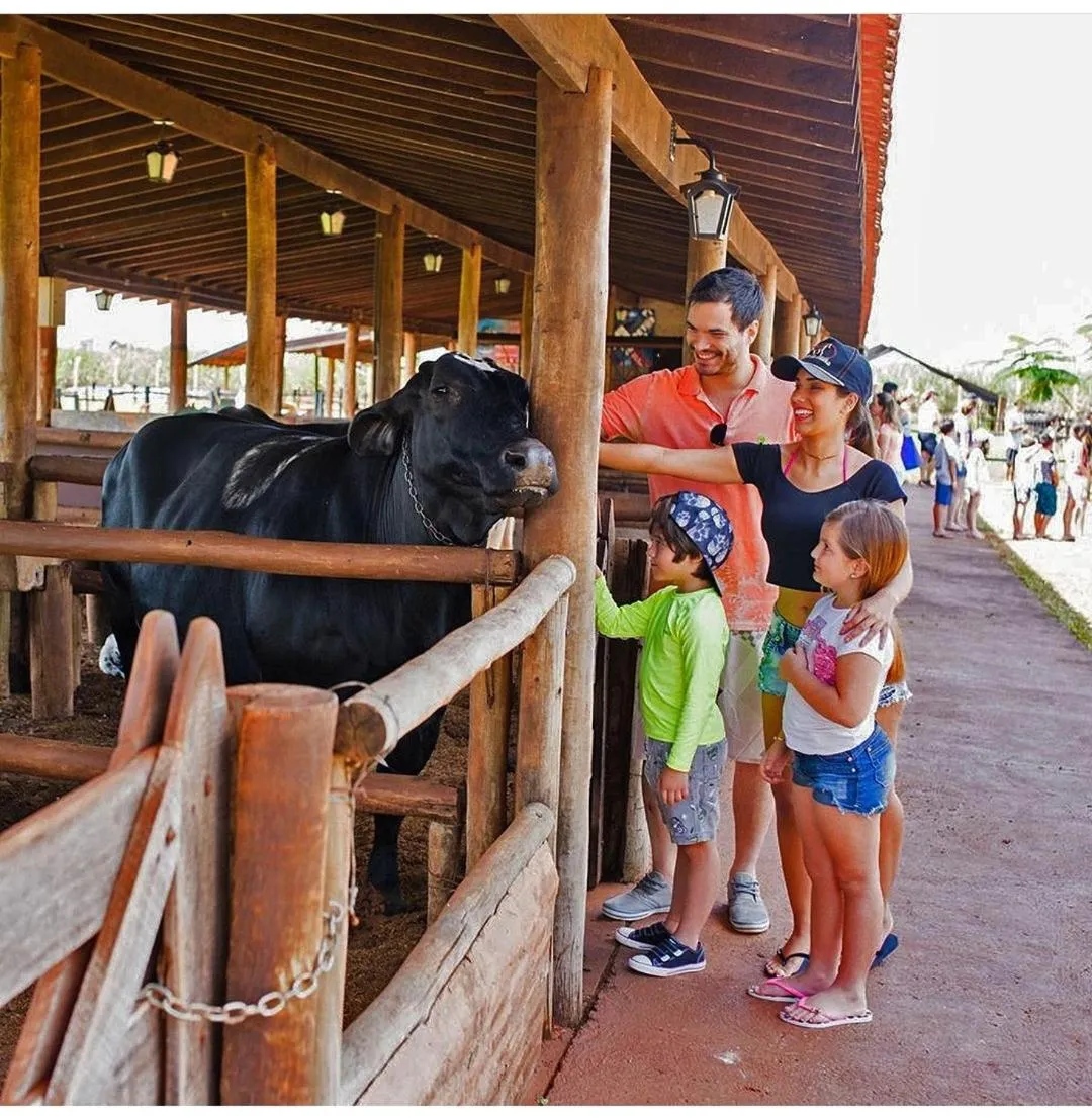 Barretos Thermas Resort