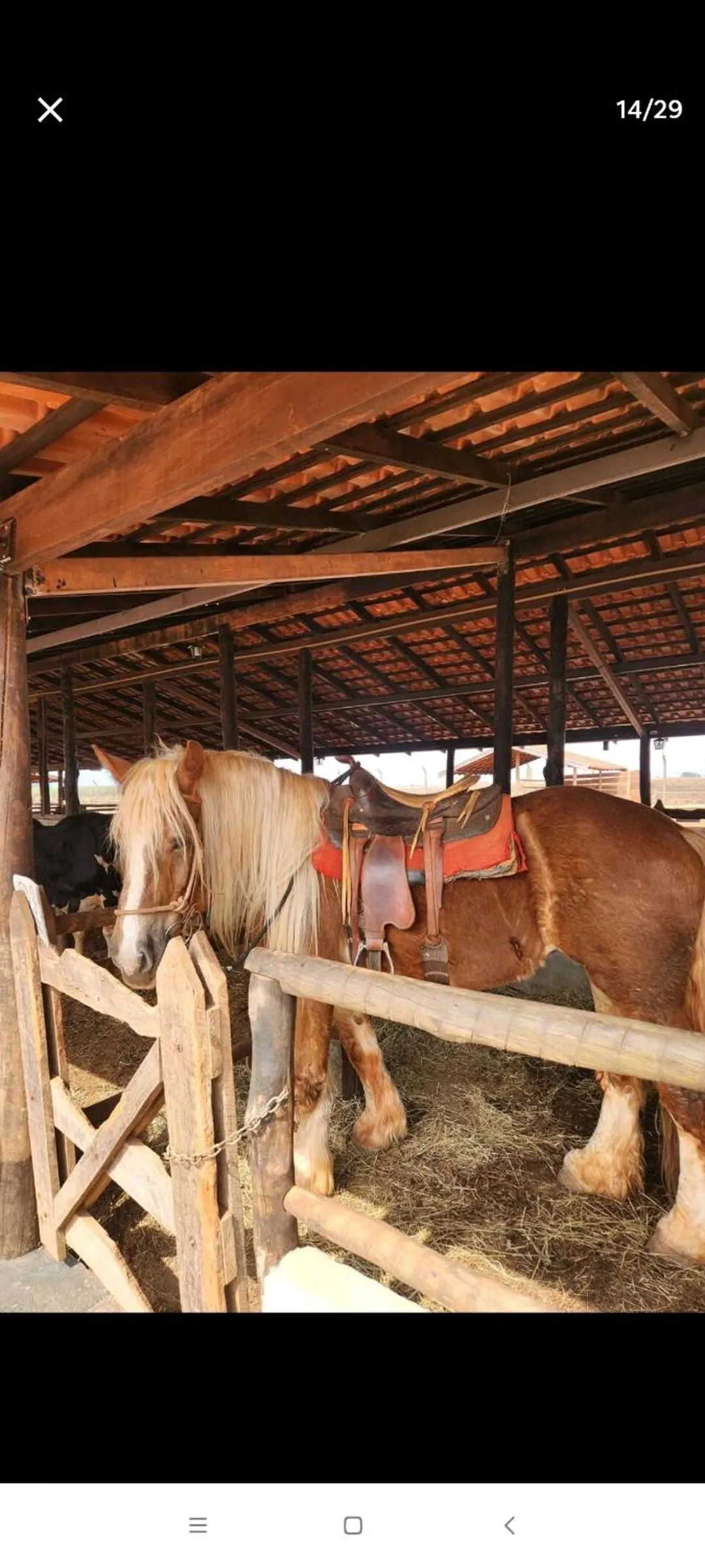 Barretos Thermas Resort