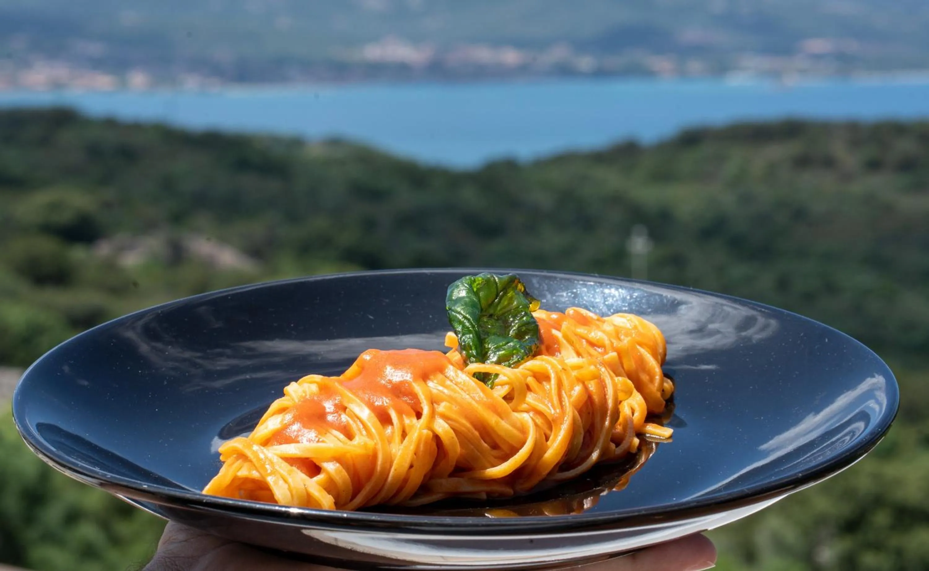 Restaurant/places to eat in Hotel Pedra Santa