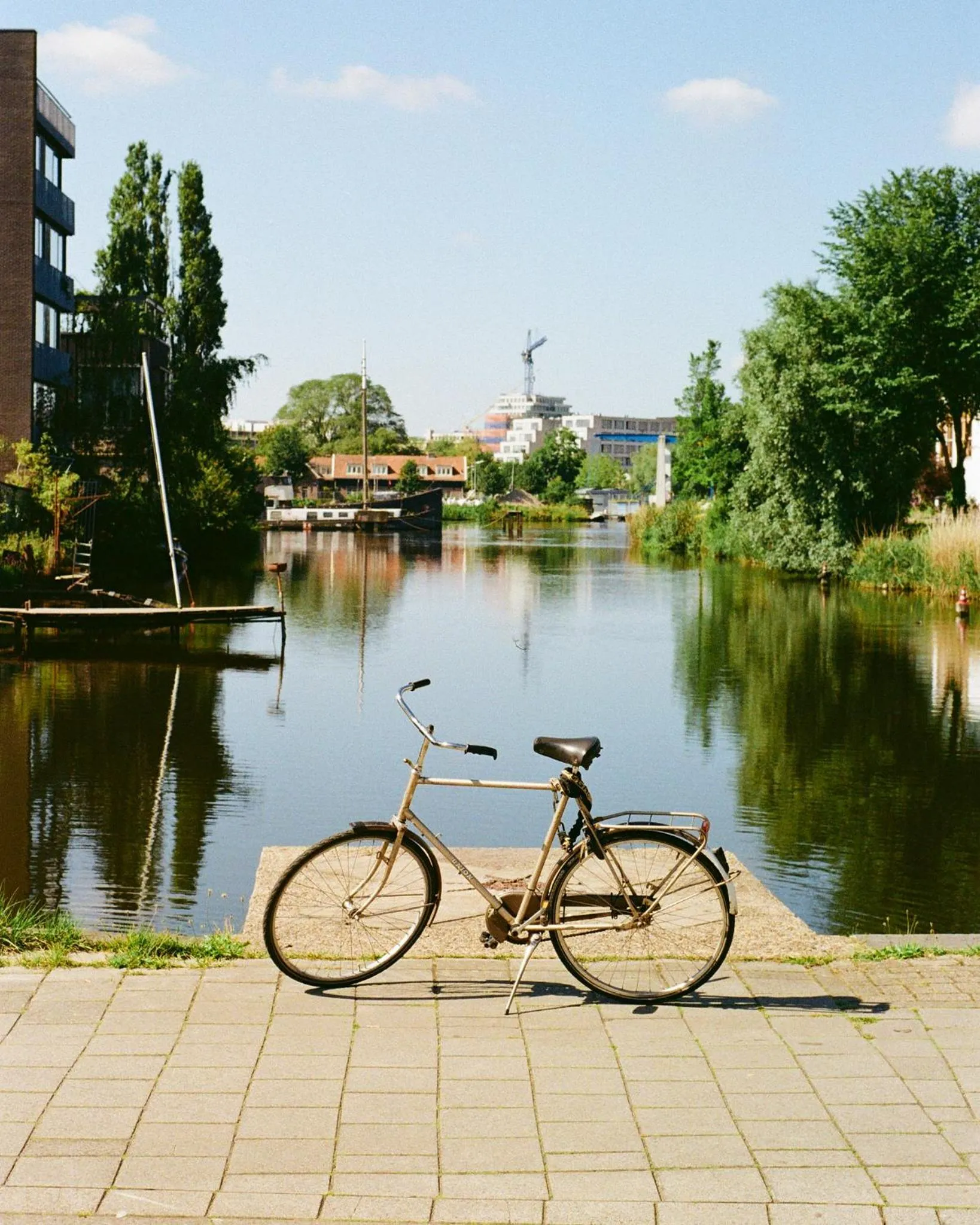 View (from property/room) in Poppies