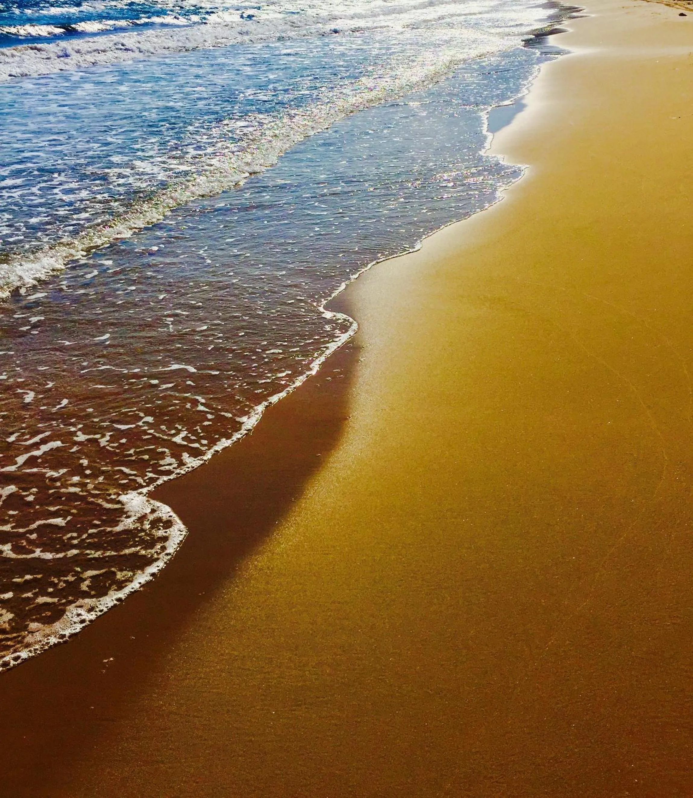 Natural landscape in Royal Goddess Guest House, Walled City