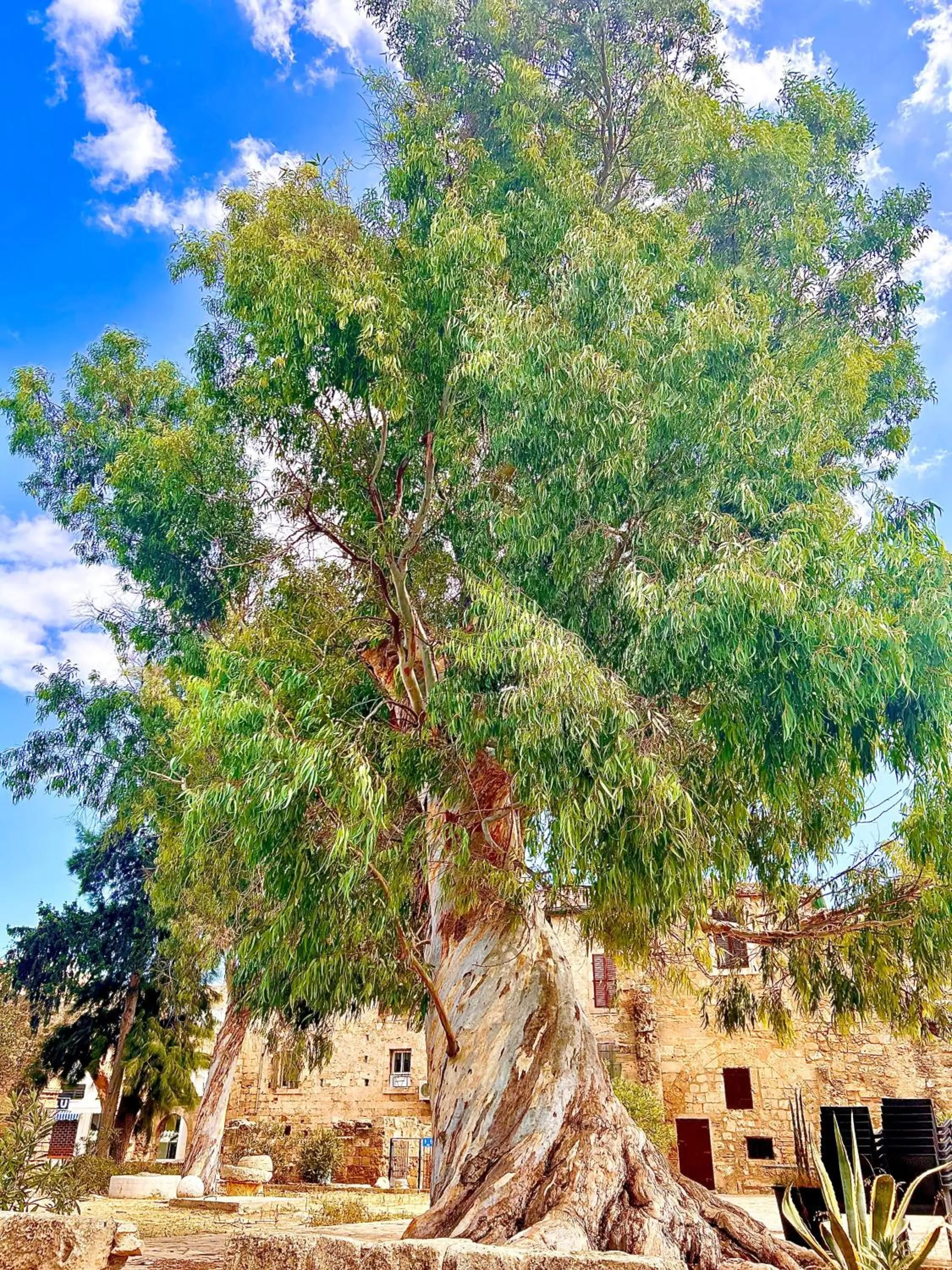 Nearby landmark in Royal Goddess Guest House, Walled City