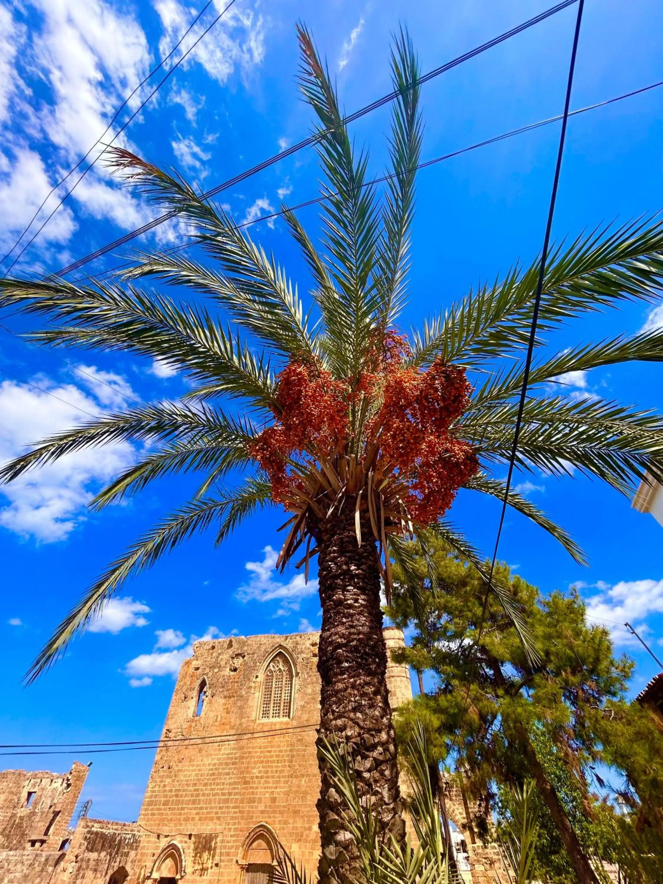 Nearby landmark in Royal Goddess Guest House, Walled City