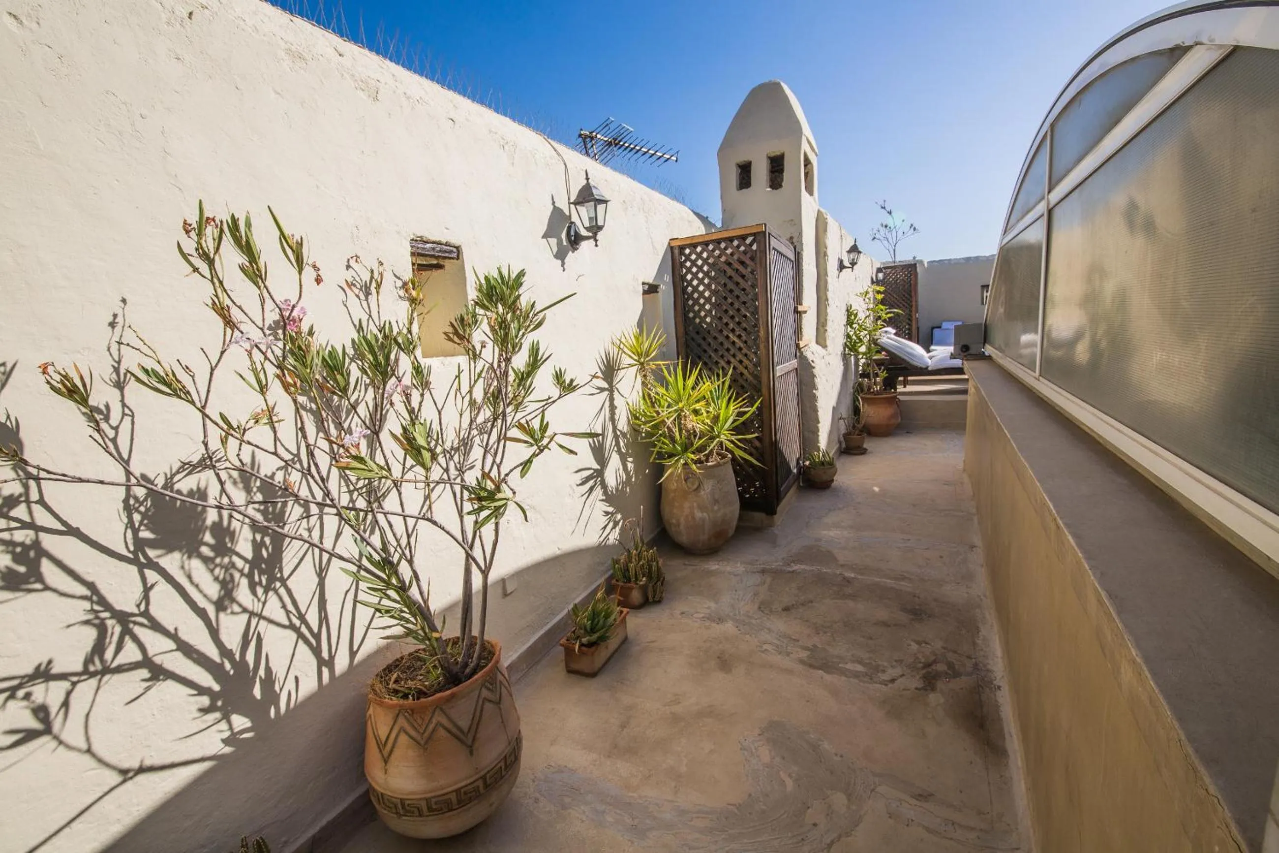 Garden in Dar victoria