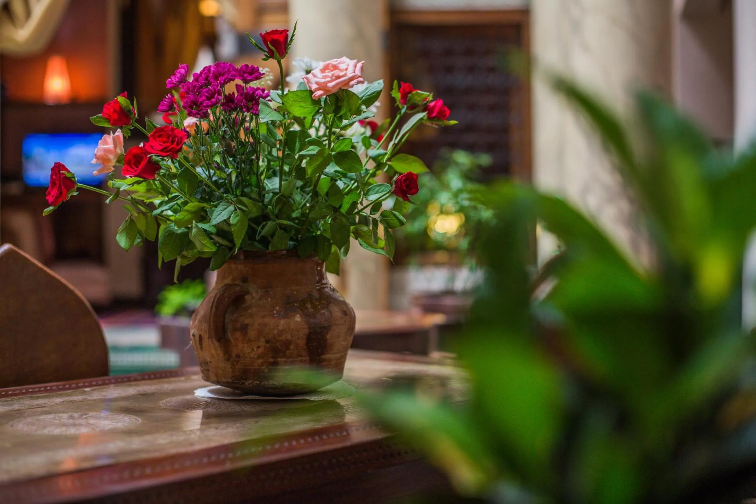 Patio in Dar victoria